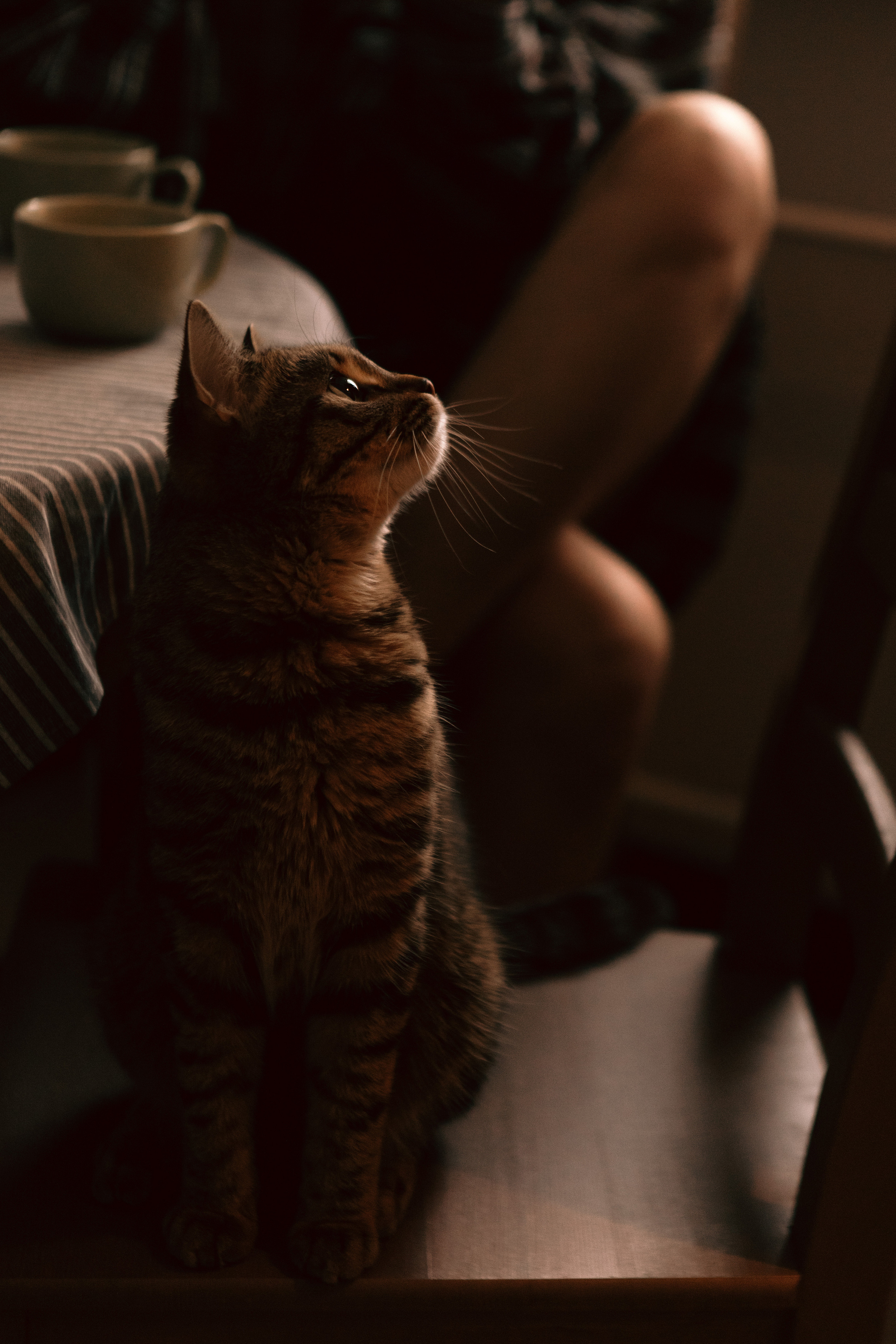 Денис+Маша. Фотограф Москва и Екатеринбург. Максимова Соня