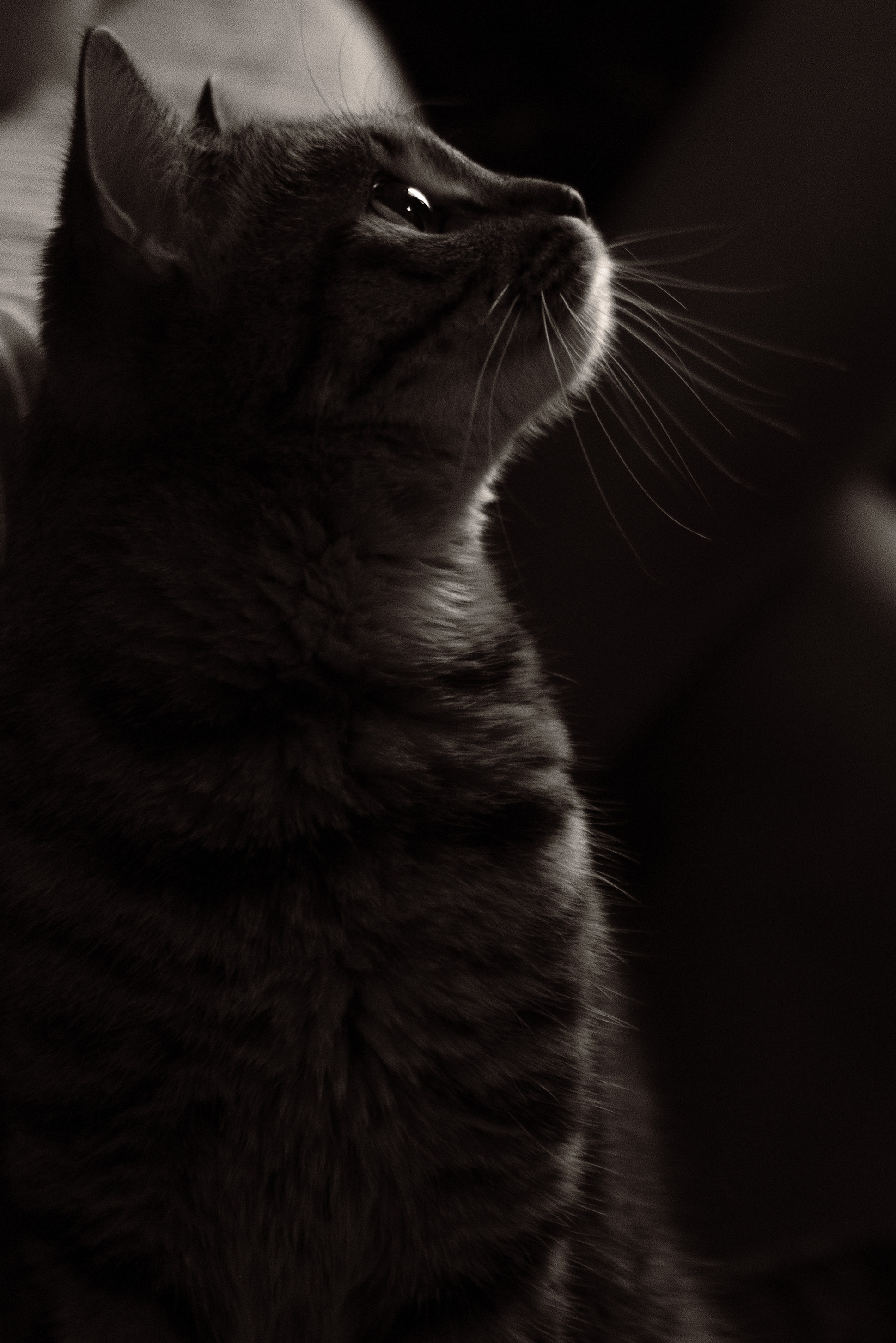 Денис+Маша. Фотограф Москва и Екатеринбург. Максимова Соня