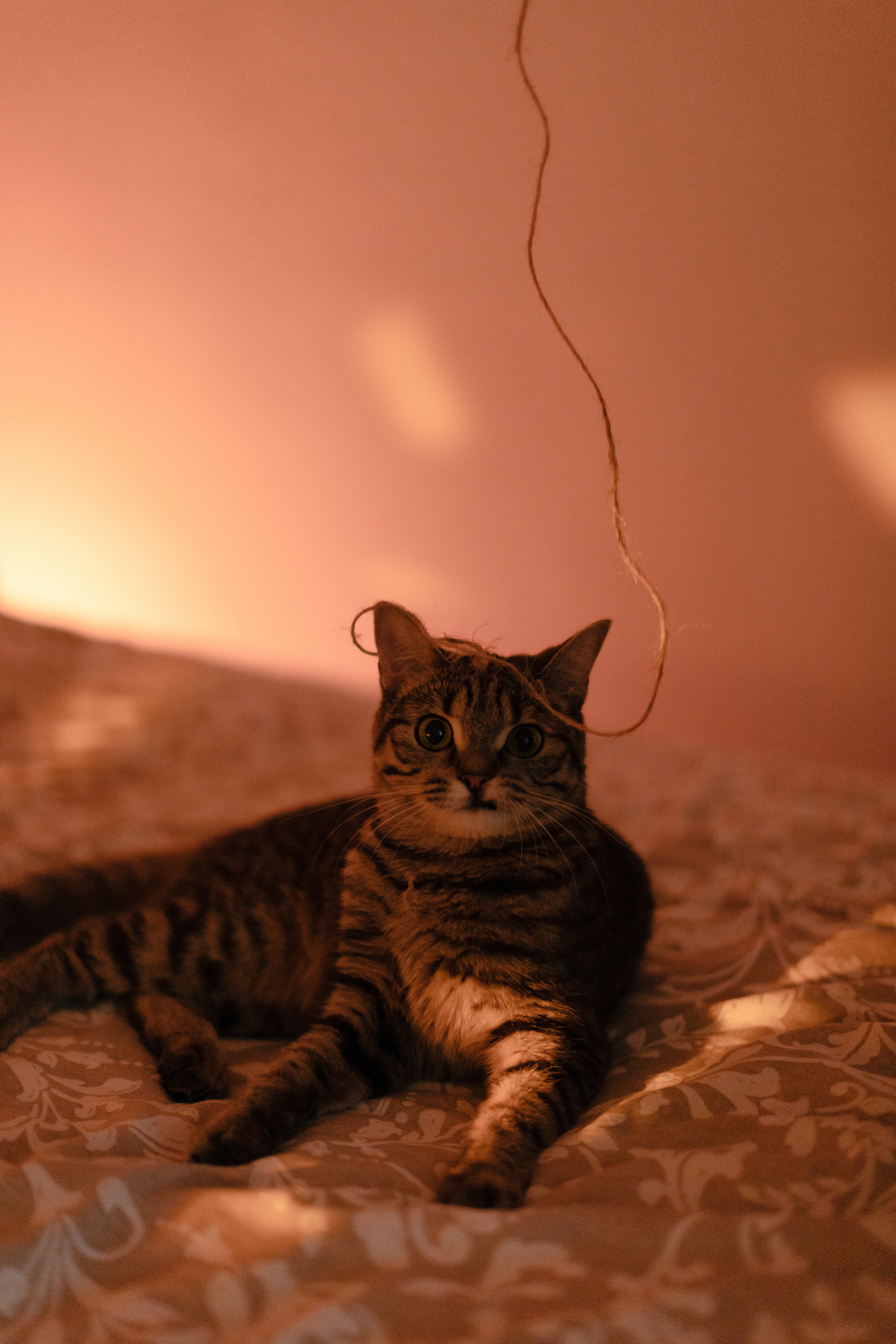 Денис+Маша. Фотограф Москва и Екатеринбург. Максимова Соня