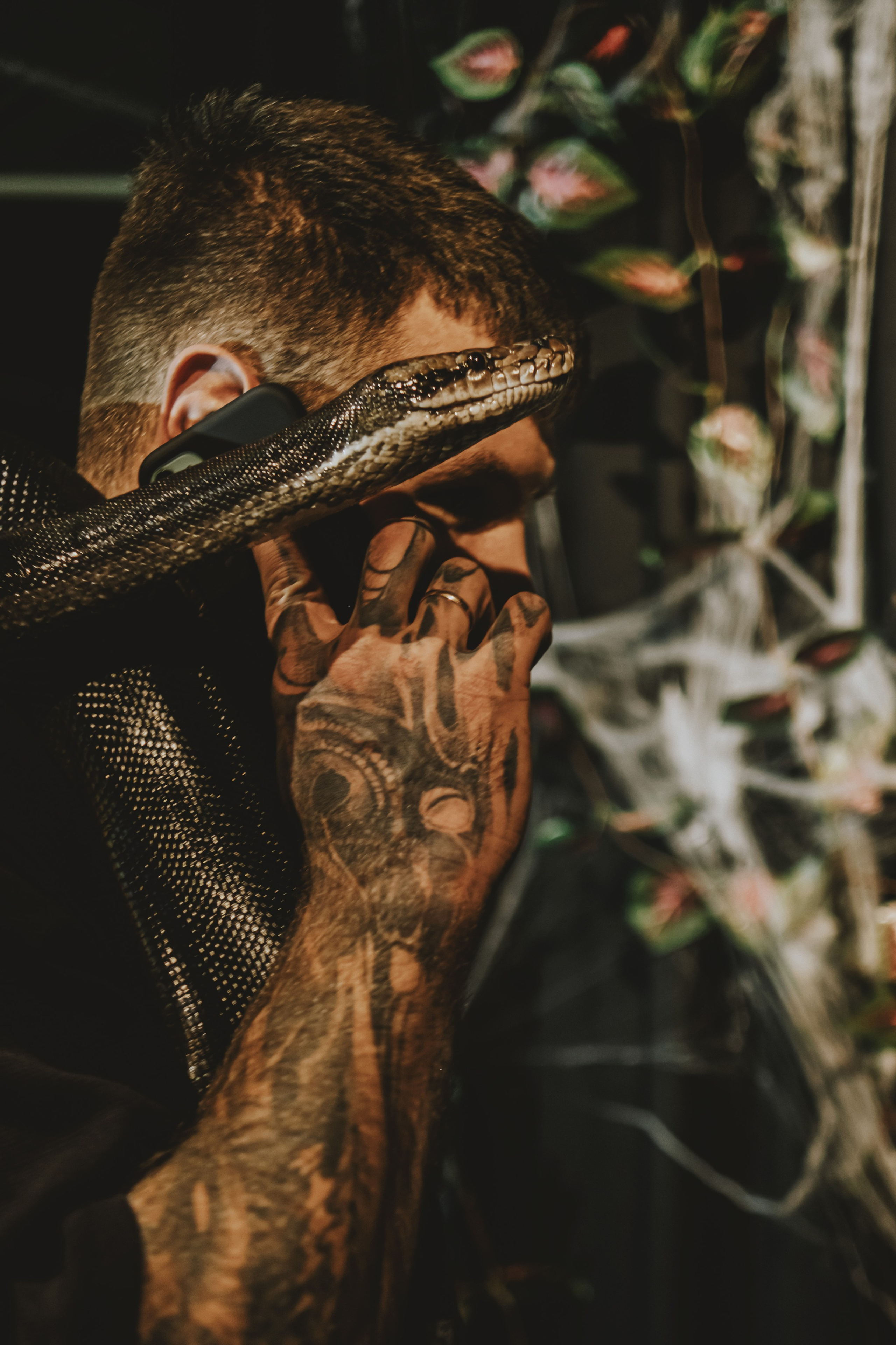 Дом Драконов. Nattie.ph