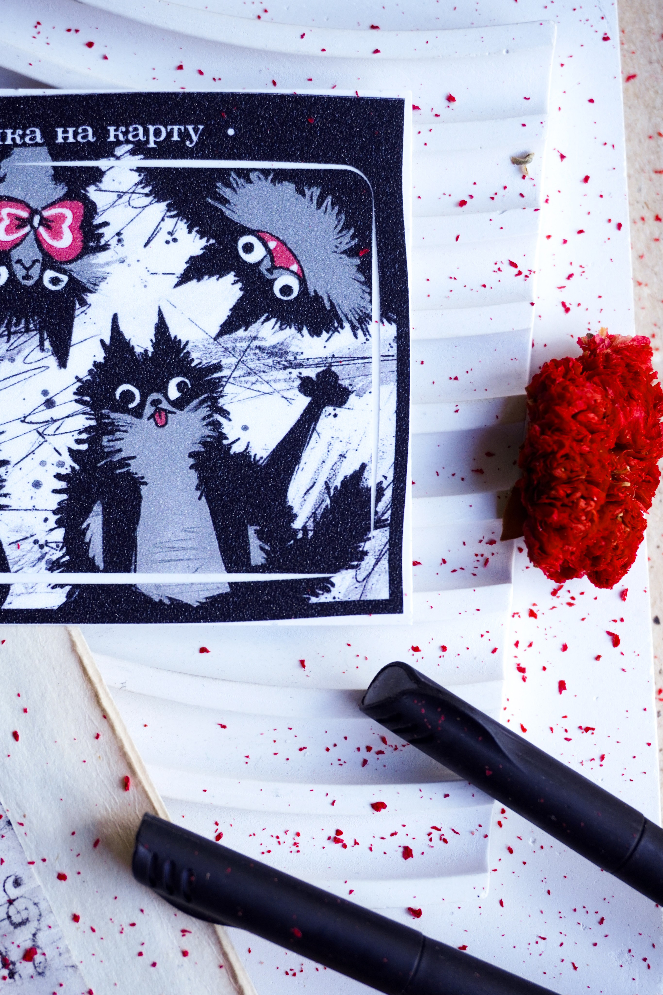 Канцелярия. Кузнецова Мария — профессиональный фотограф в Санкт-Петербурге | Предметная фотосъёмка, модельные тесты, актёрское портфолио, концерты