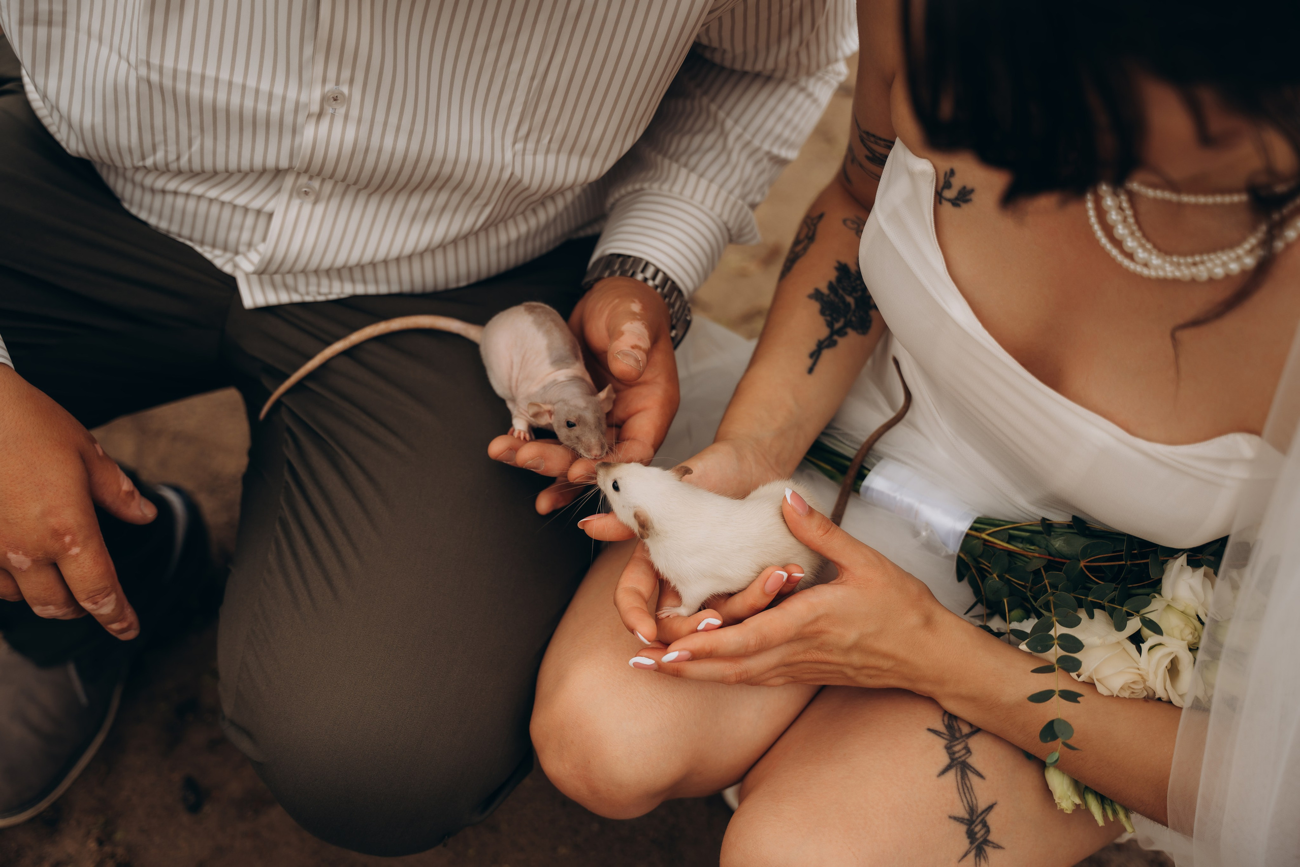 Вероника + Саша. Фотограф Мария Миллс | Минск