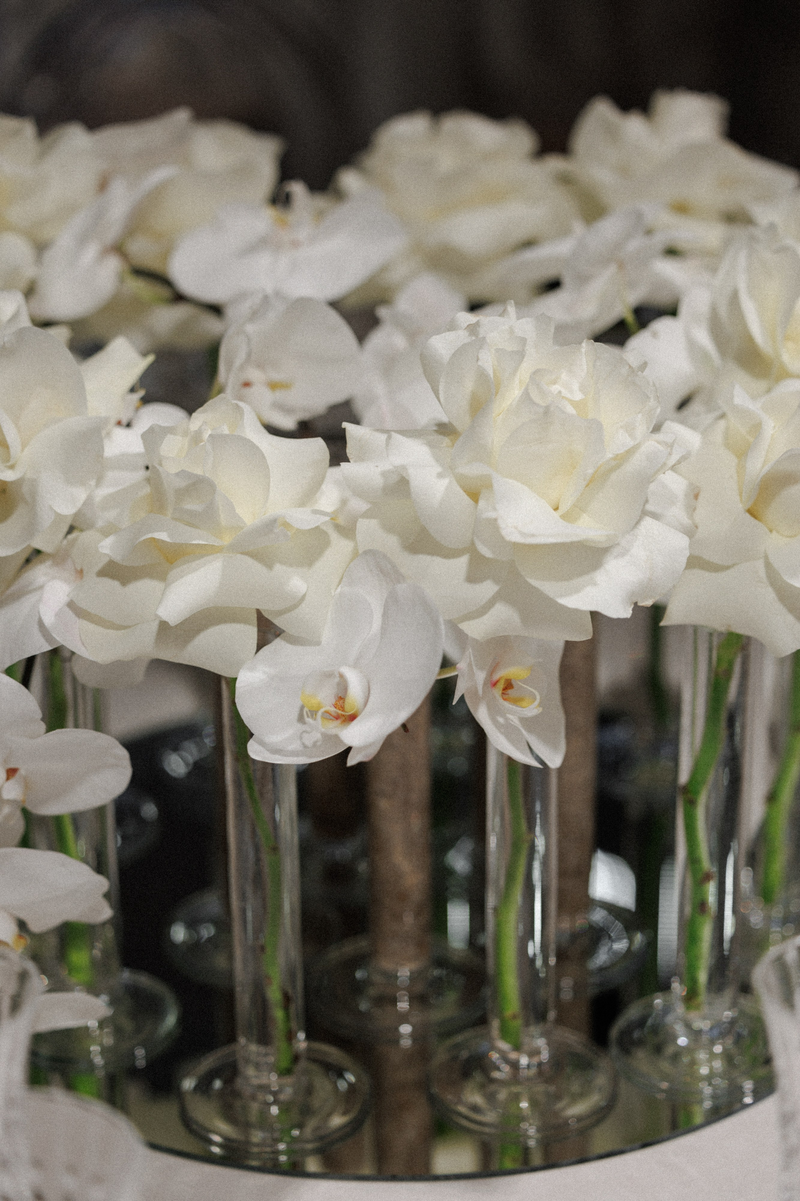 Филипп & Саша. RETOUCH-HOUSE