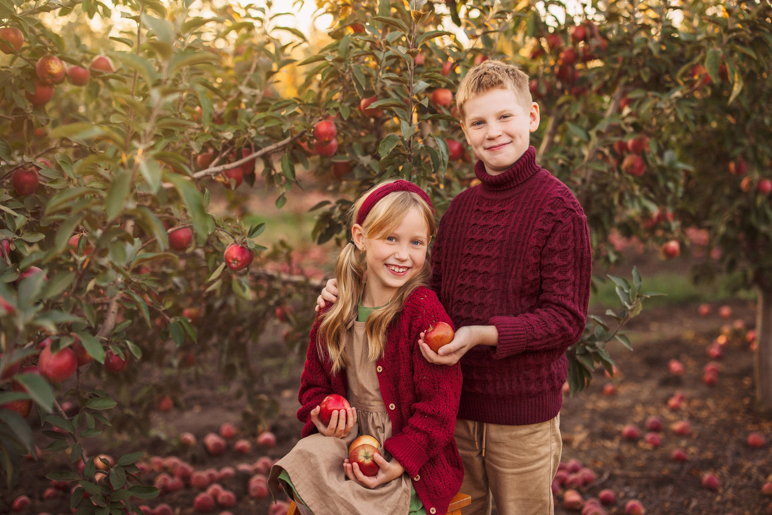 Сбор урожая Яблок. Семейный и детский фотограф в Краснодаре Анна Трашкова