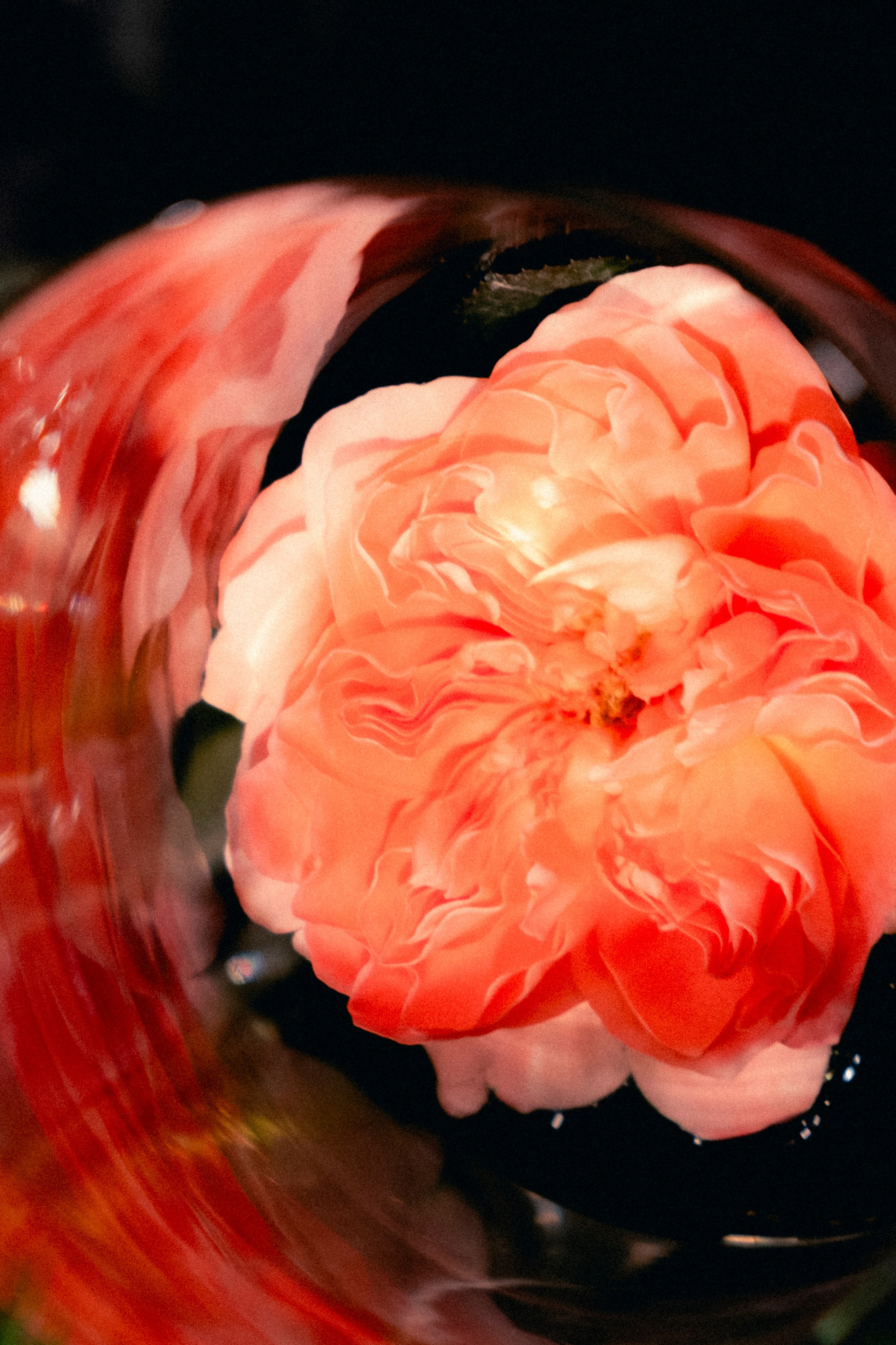 Контент-съемка. Портретный и fashion-фотограф в Санкт-Петербурге Олеся Поле