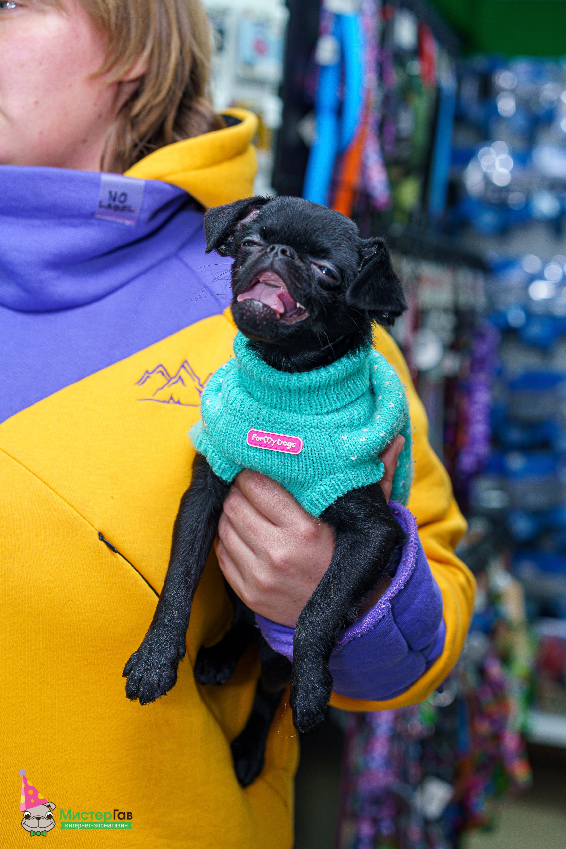 Мистер Гав -13 лет!. Фотограф Челябинск · Ольга Серебрякова