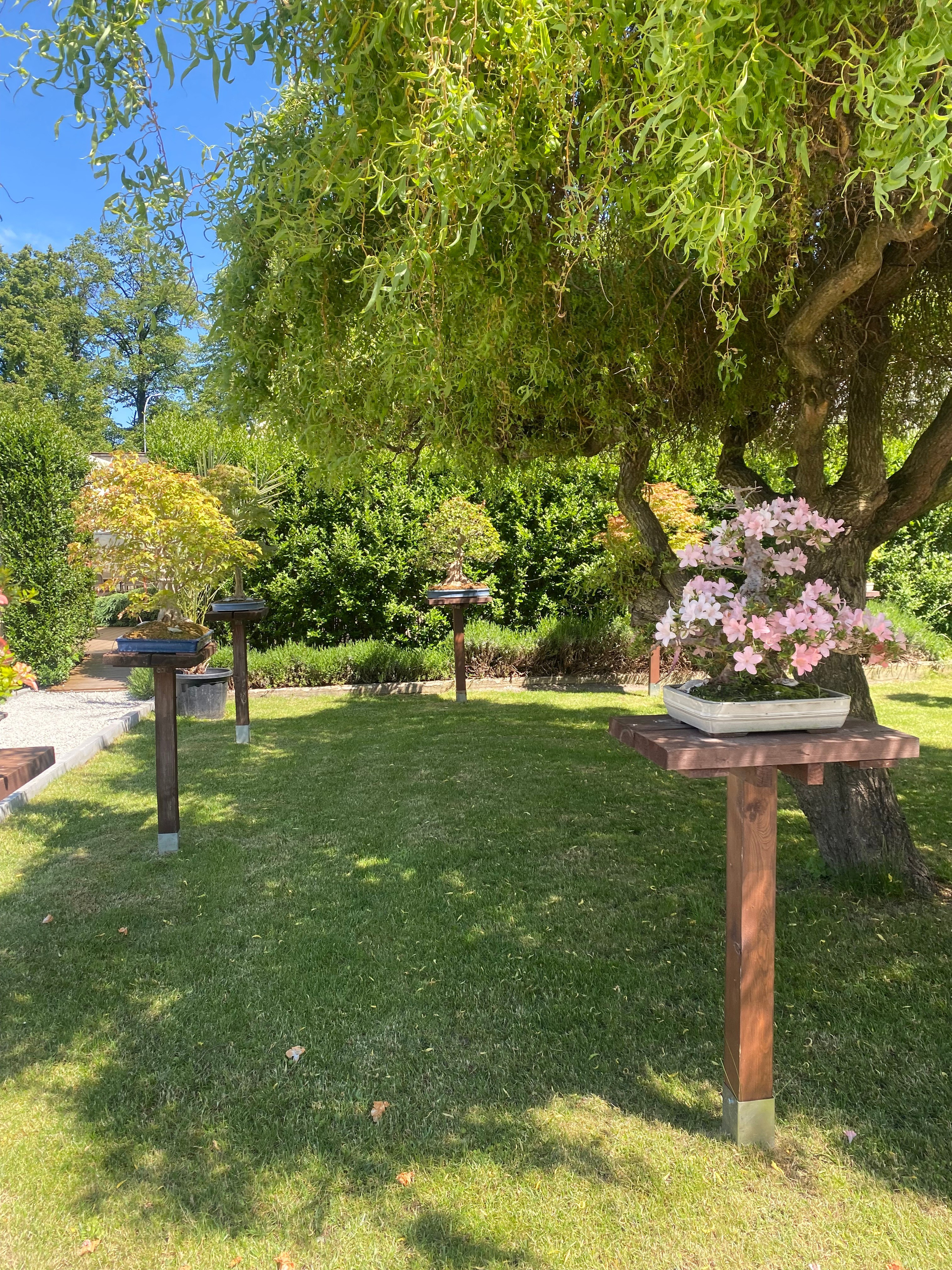 Валбджих. Своя Мастерская