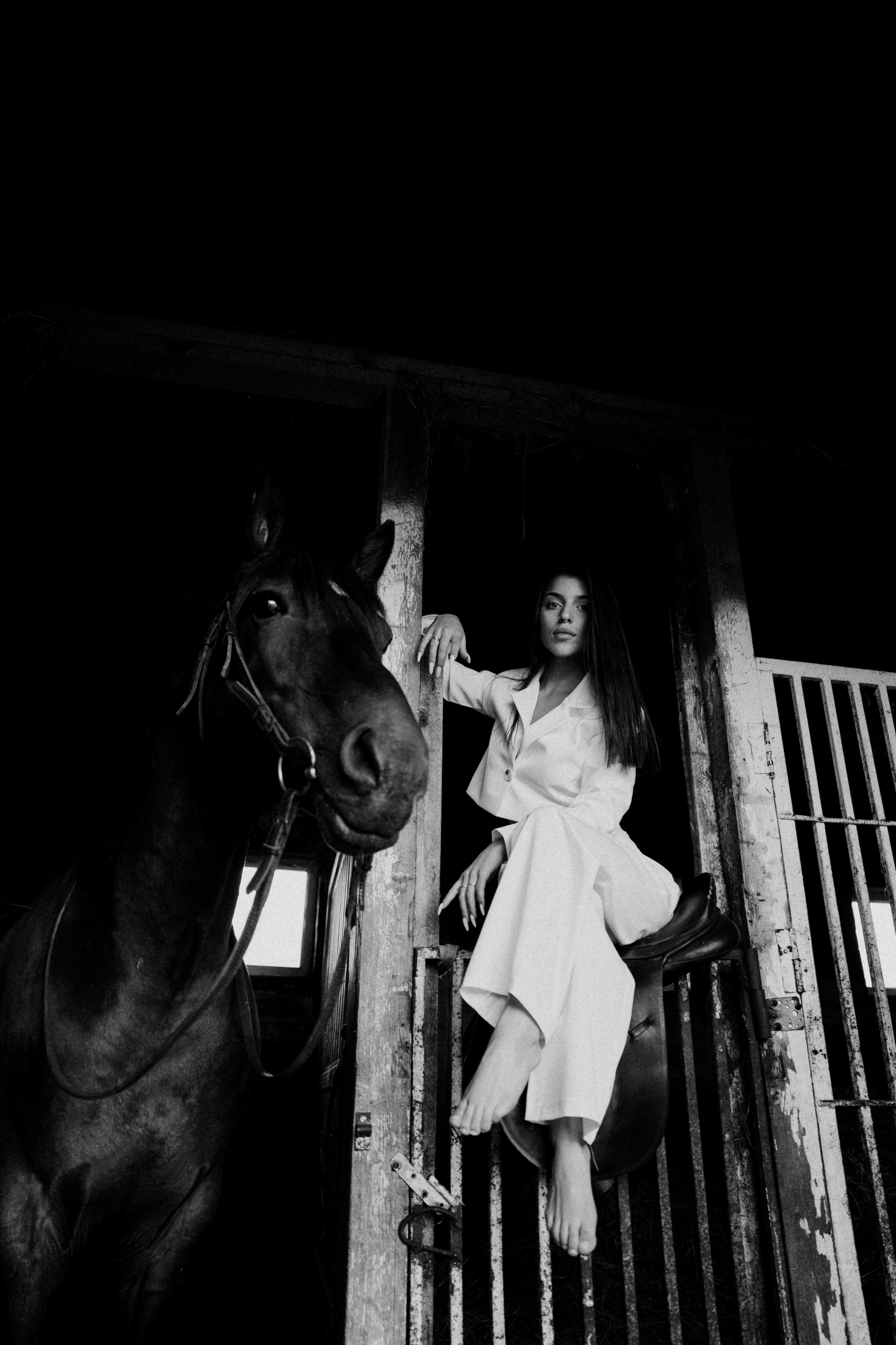 Конные. Главная