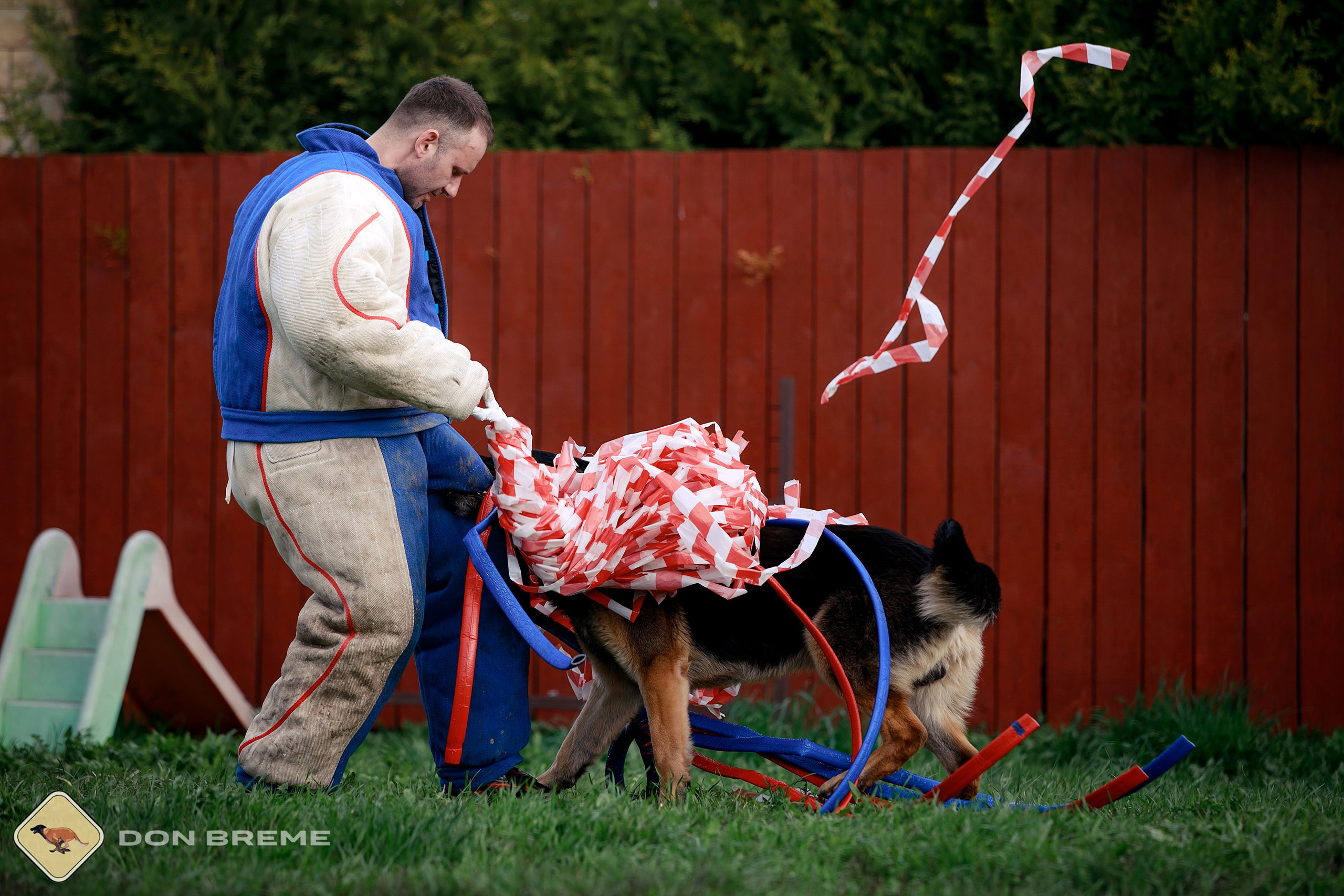 Семинар для фигурантов, день 2. Фотограф-анималист Mary Mart — Москва, Питер