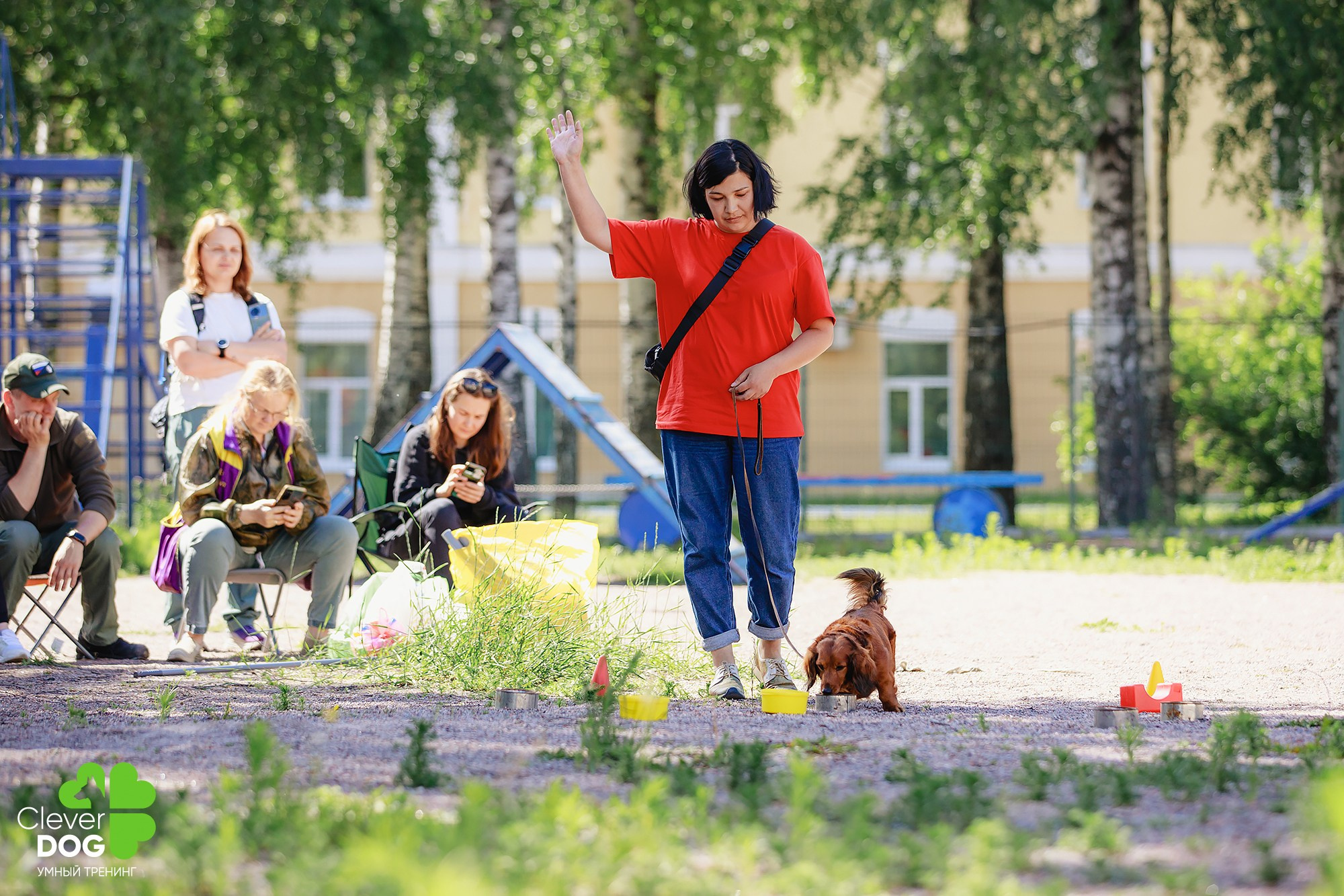 Семинар по поиску запаха с Иваном Ломовым, организатор CleverDog, СПб. Фотограф-анималист Mary Mart — Москва, Питер
