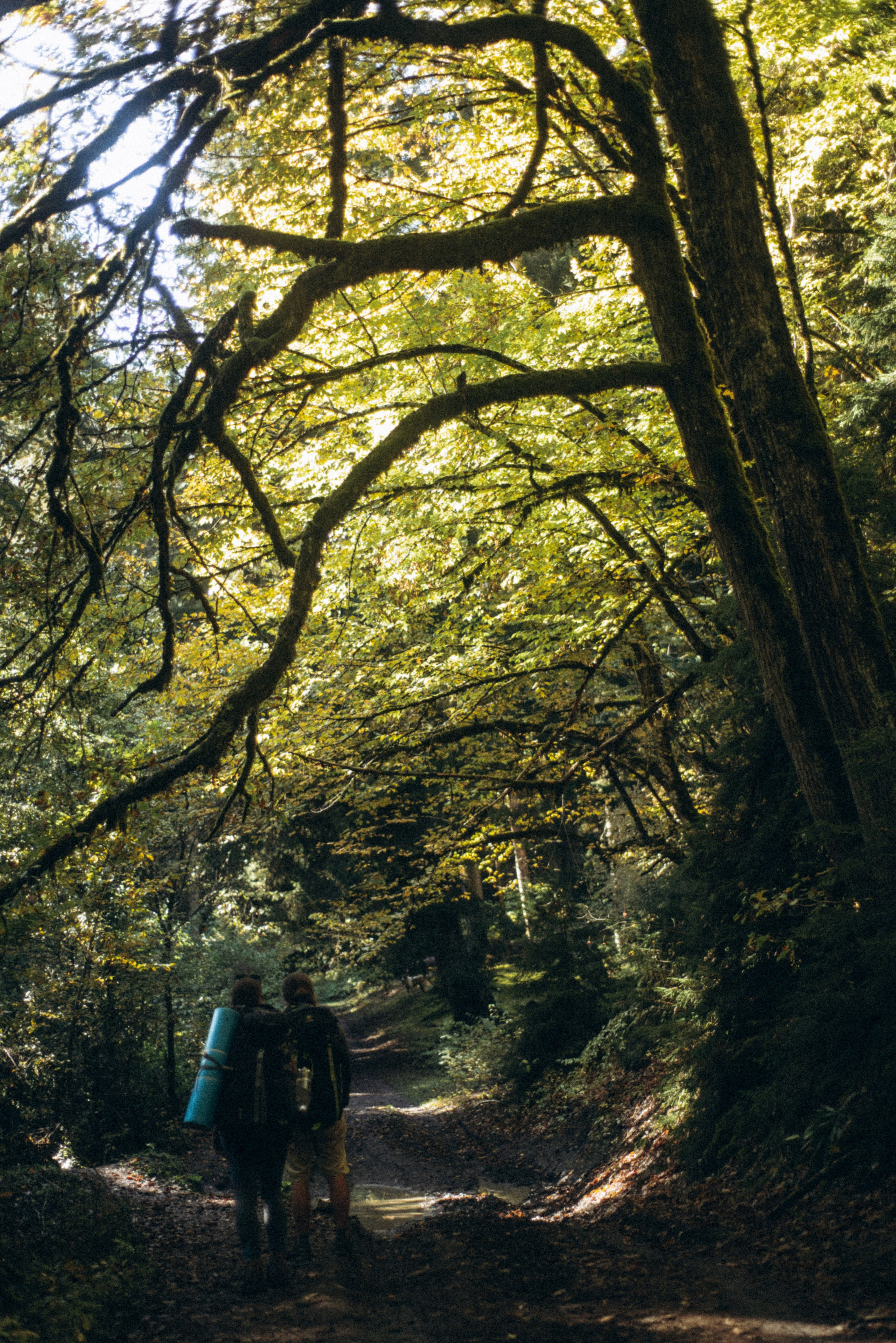 Боржоми, Грузия 🇬🇪. Anita_photo