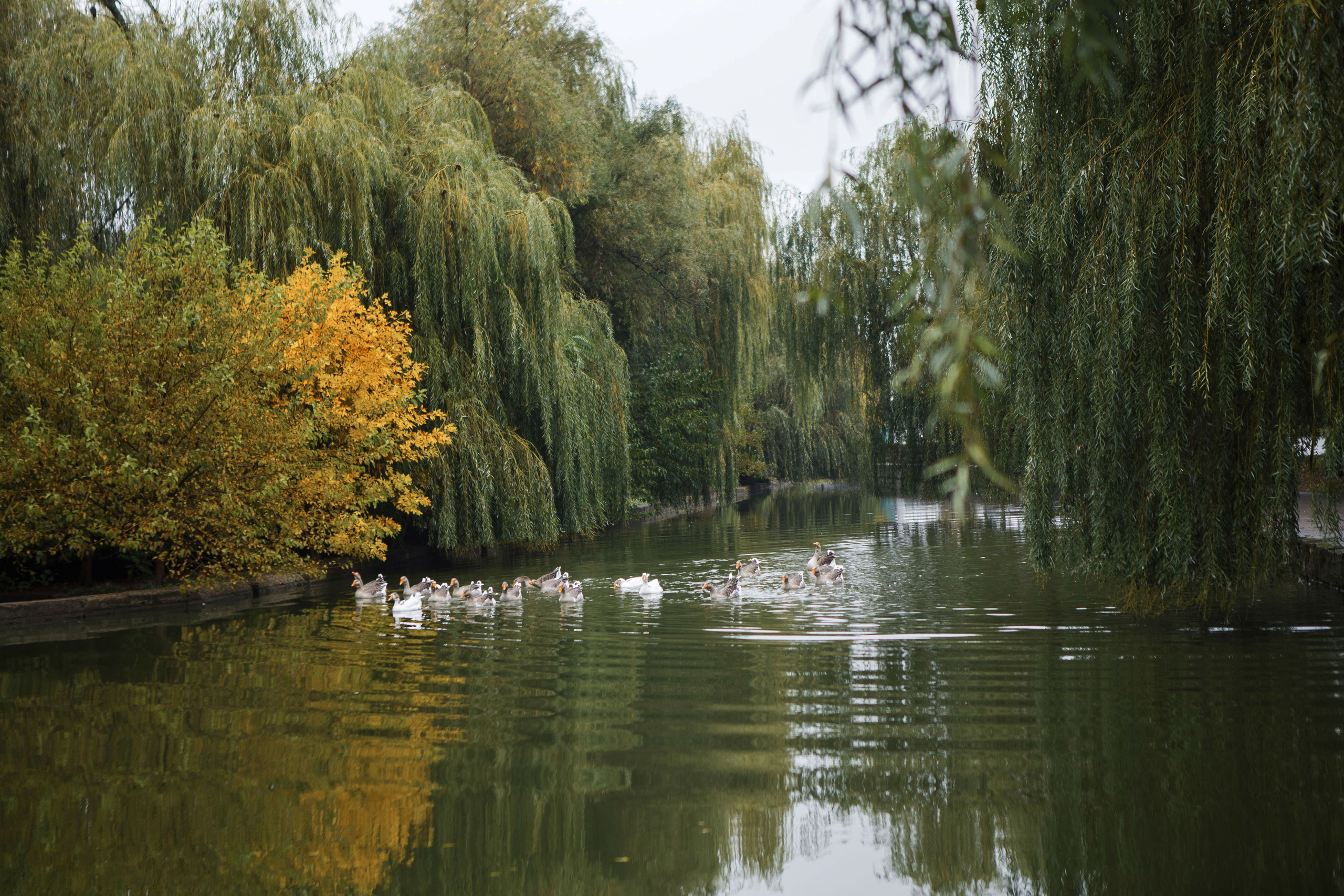 Фотограф в Краснодаре. Фотограф Андрей Баксов