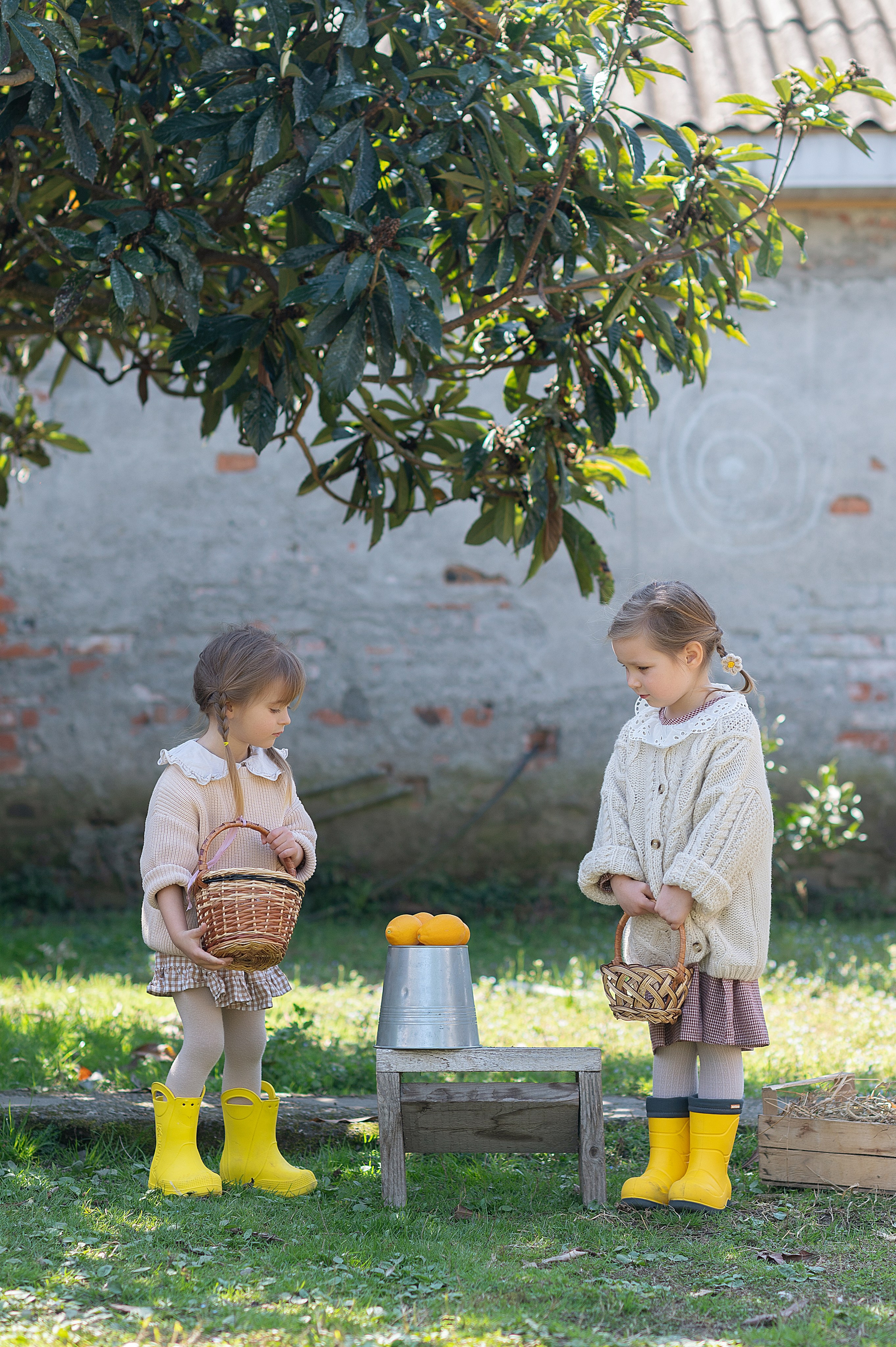 Курочки. Детский фотограф Абхазия