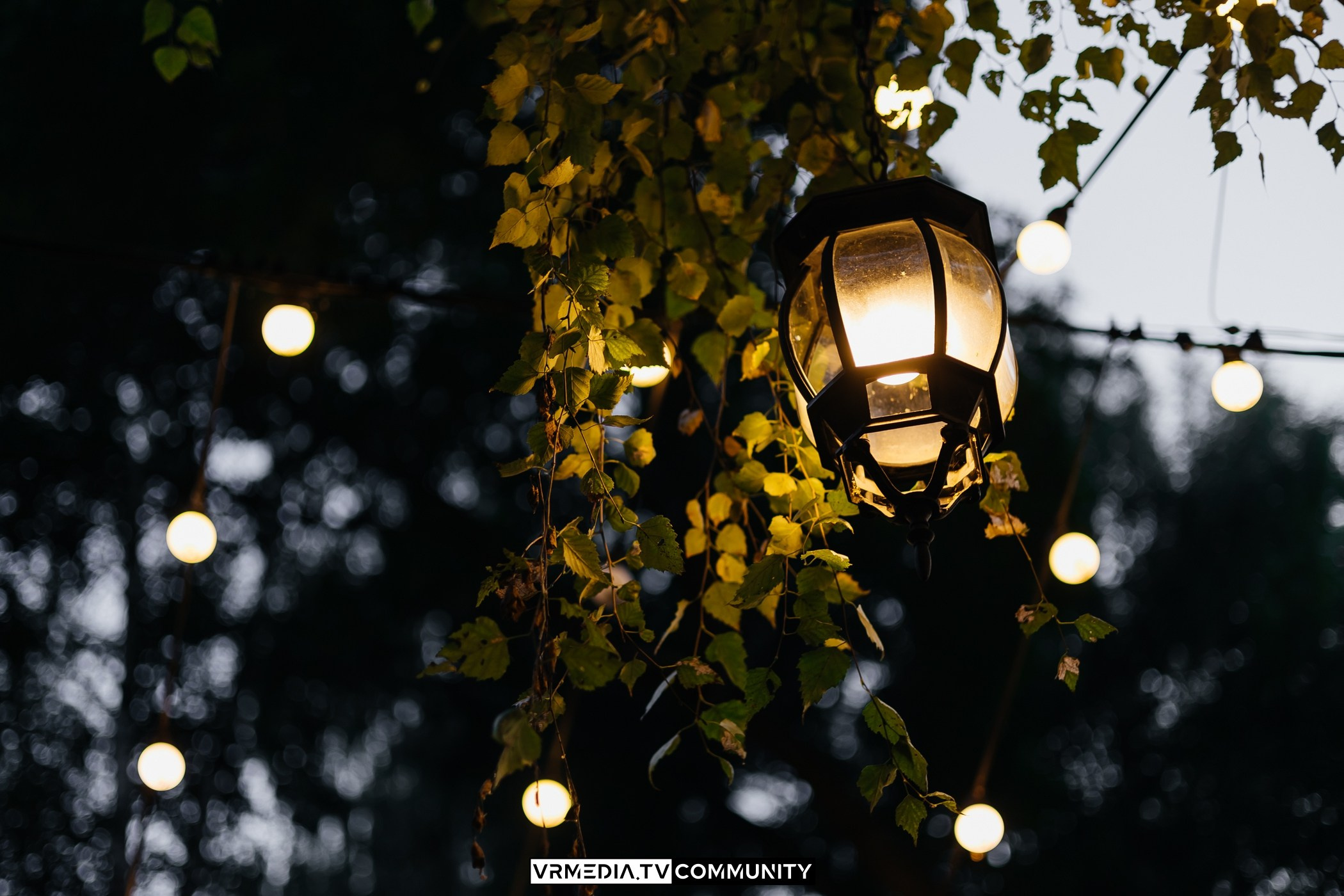 В гостях «У Петровича»