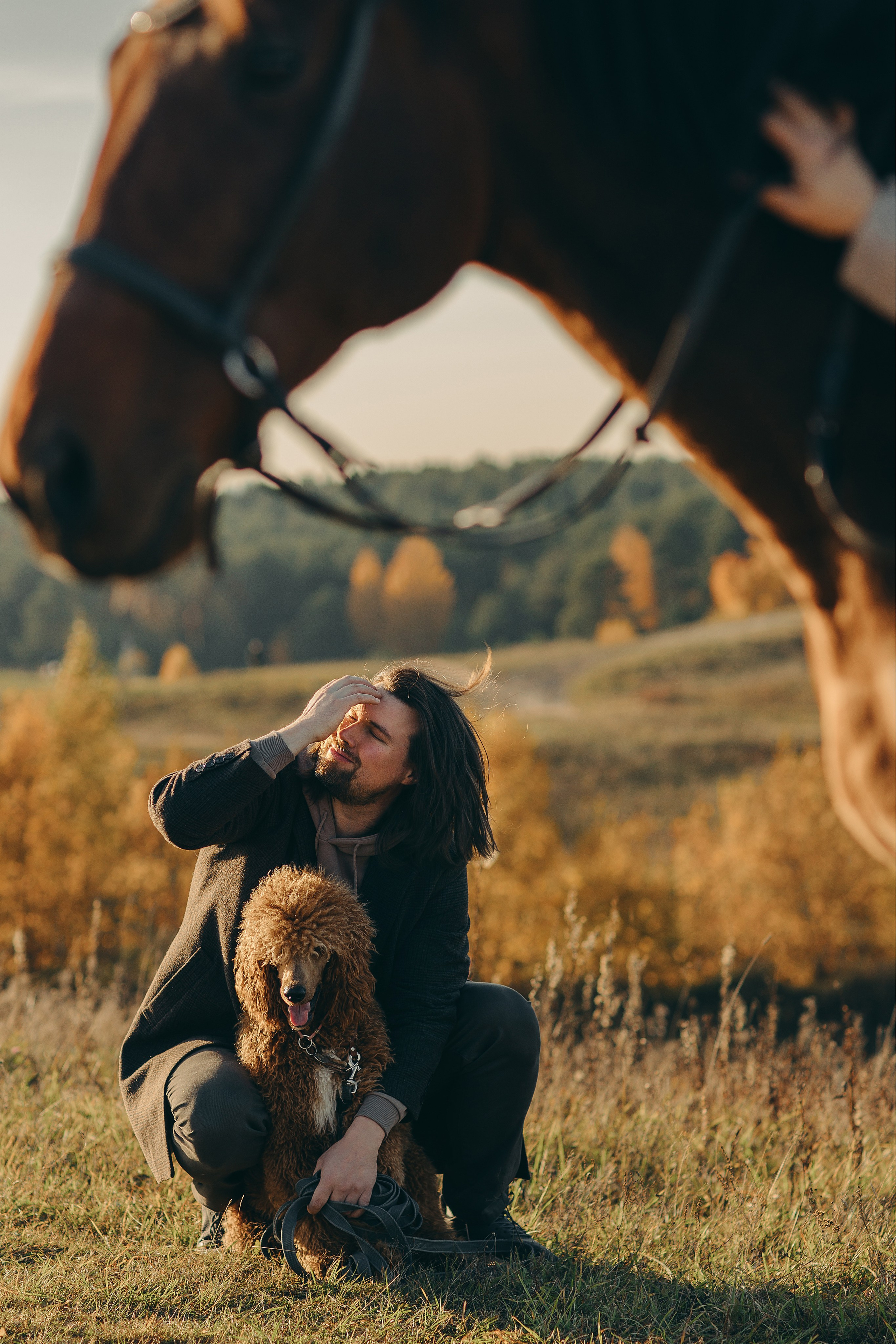 Наши пушистые дети. Главная