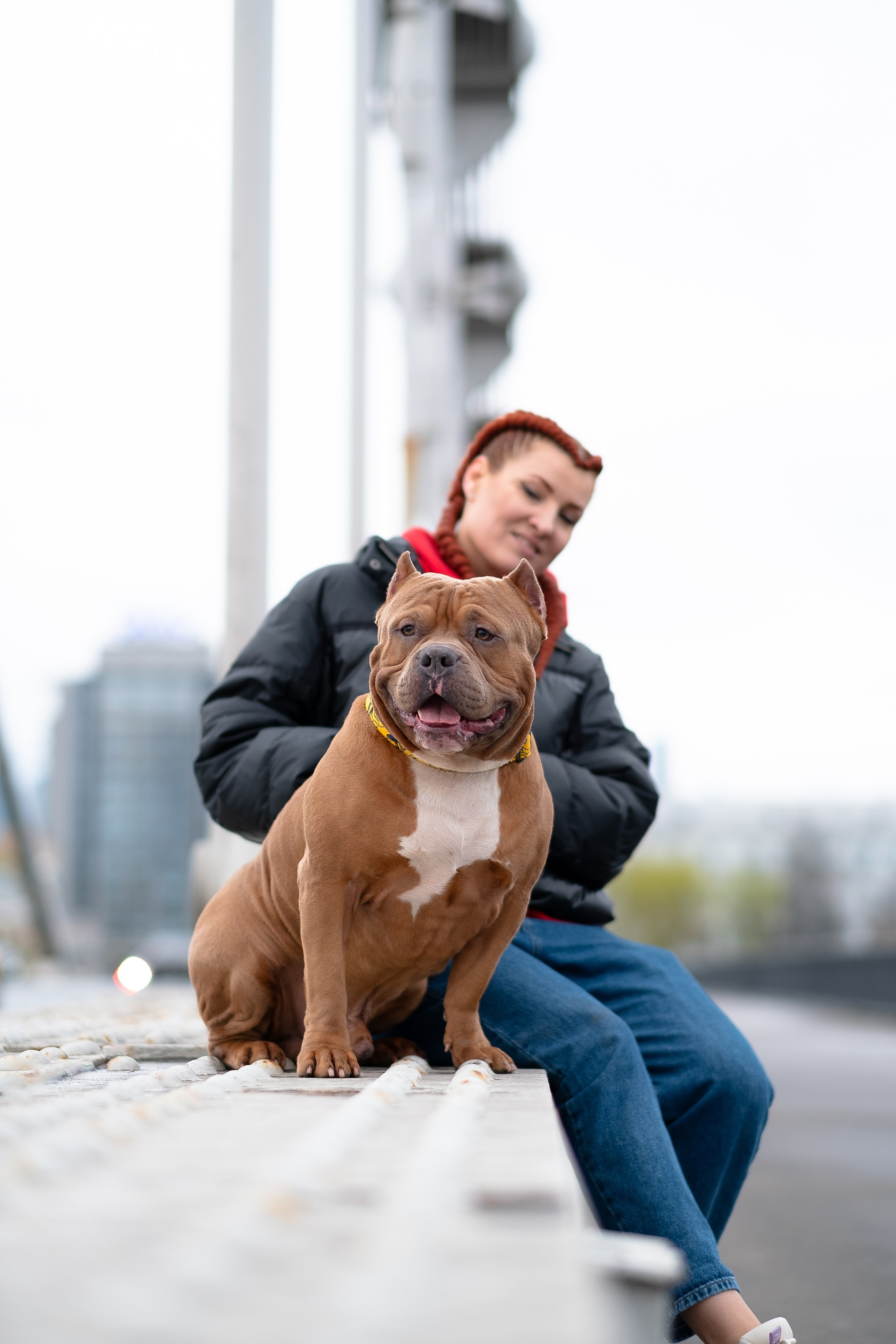 Спай и его семья. Фотограф и видеограф анималист Аганина Дарья