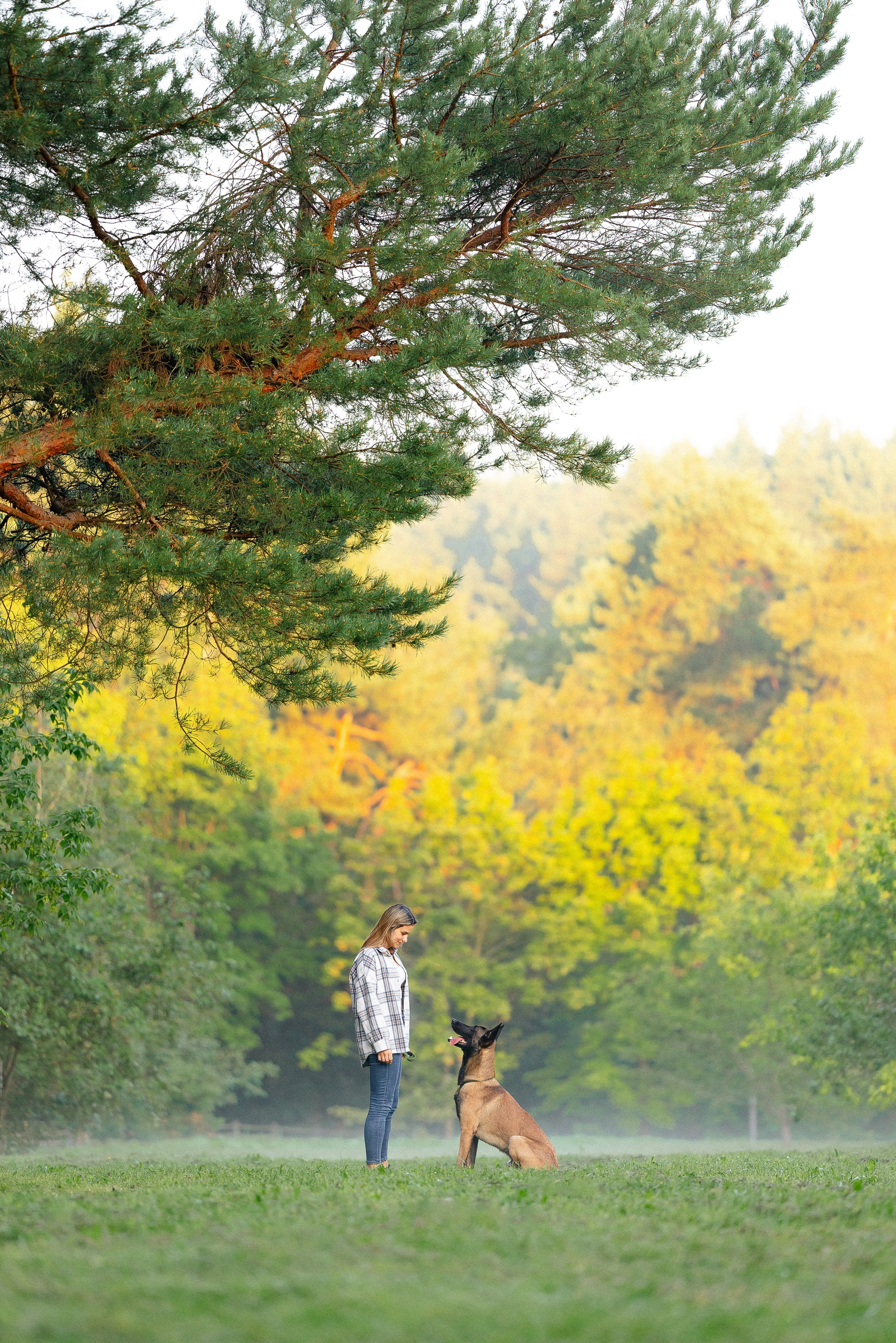 Галина и Кодекс. Фотограф и видеограф анималист Аганина Дарья