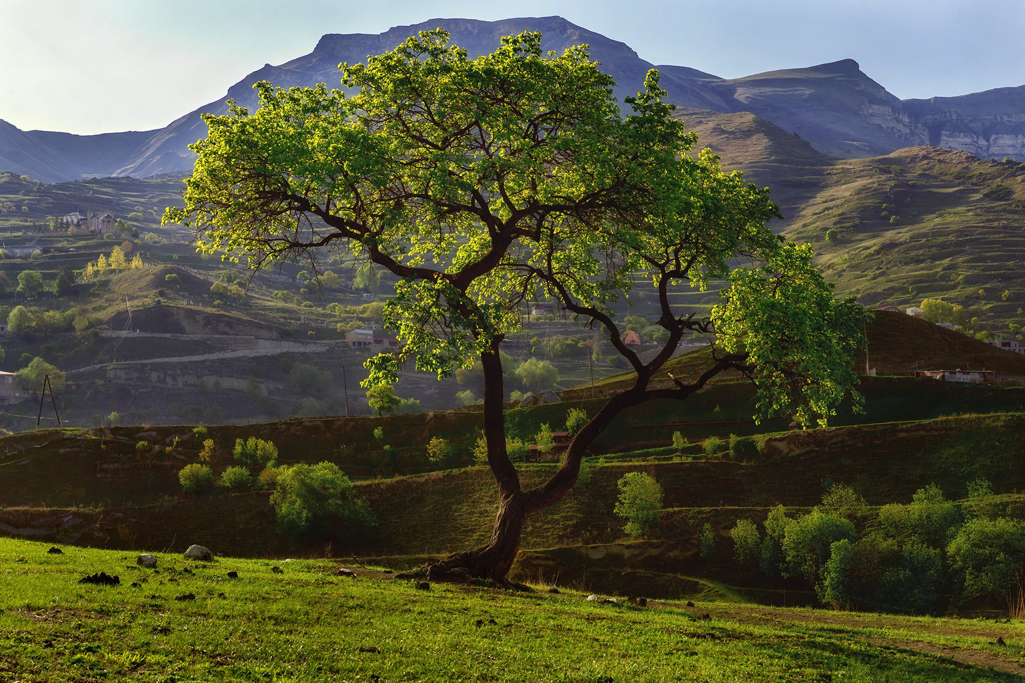 Чохские террасы