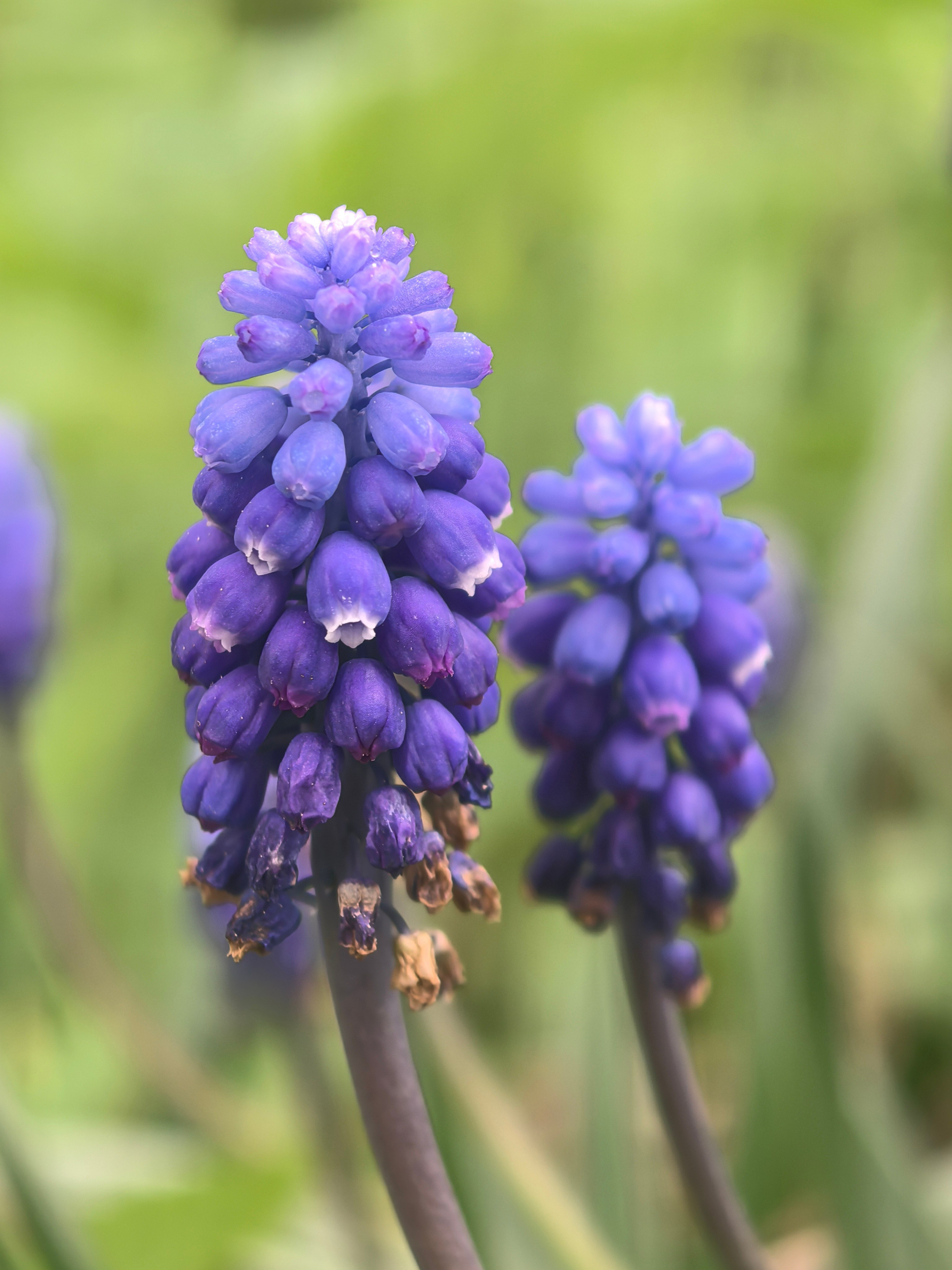 ПочтиМАКРО. Школьные выпускные альбомы в Москве Марина Николаева