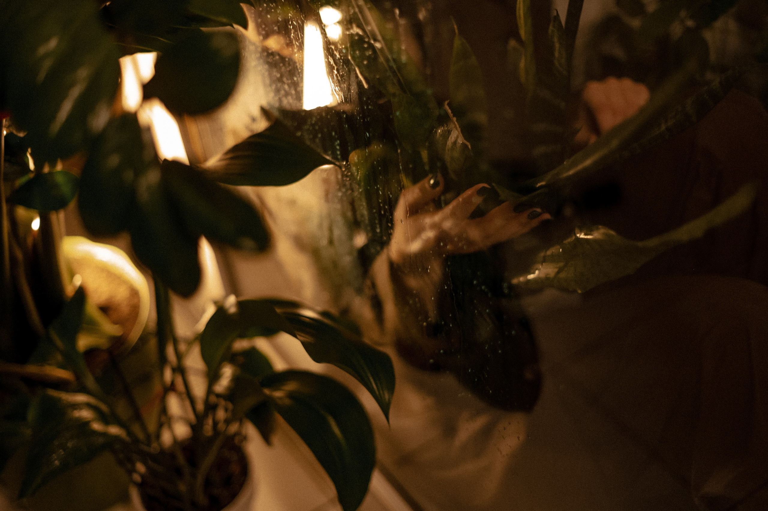 Отель. Цветы. В душе/ванна. Фотограф Котова Валентина