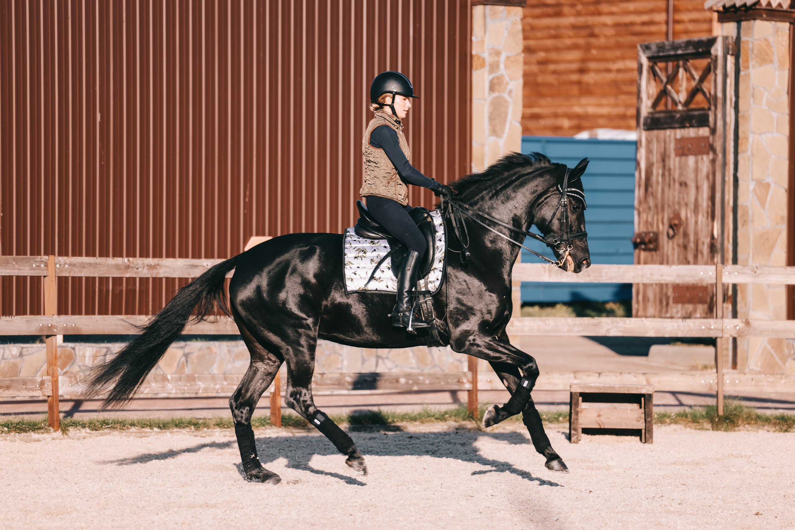 КСК Ждановское фотосессия. Фотосессии с лошадьми