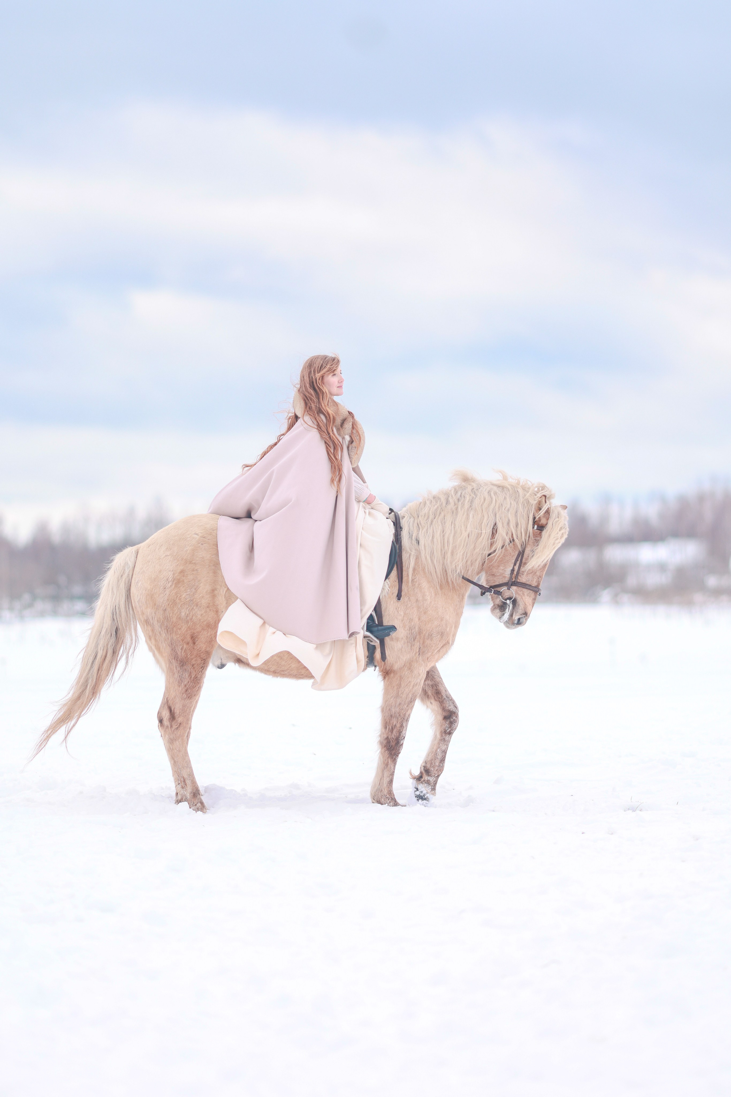 Фотосессии с лошадьми