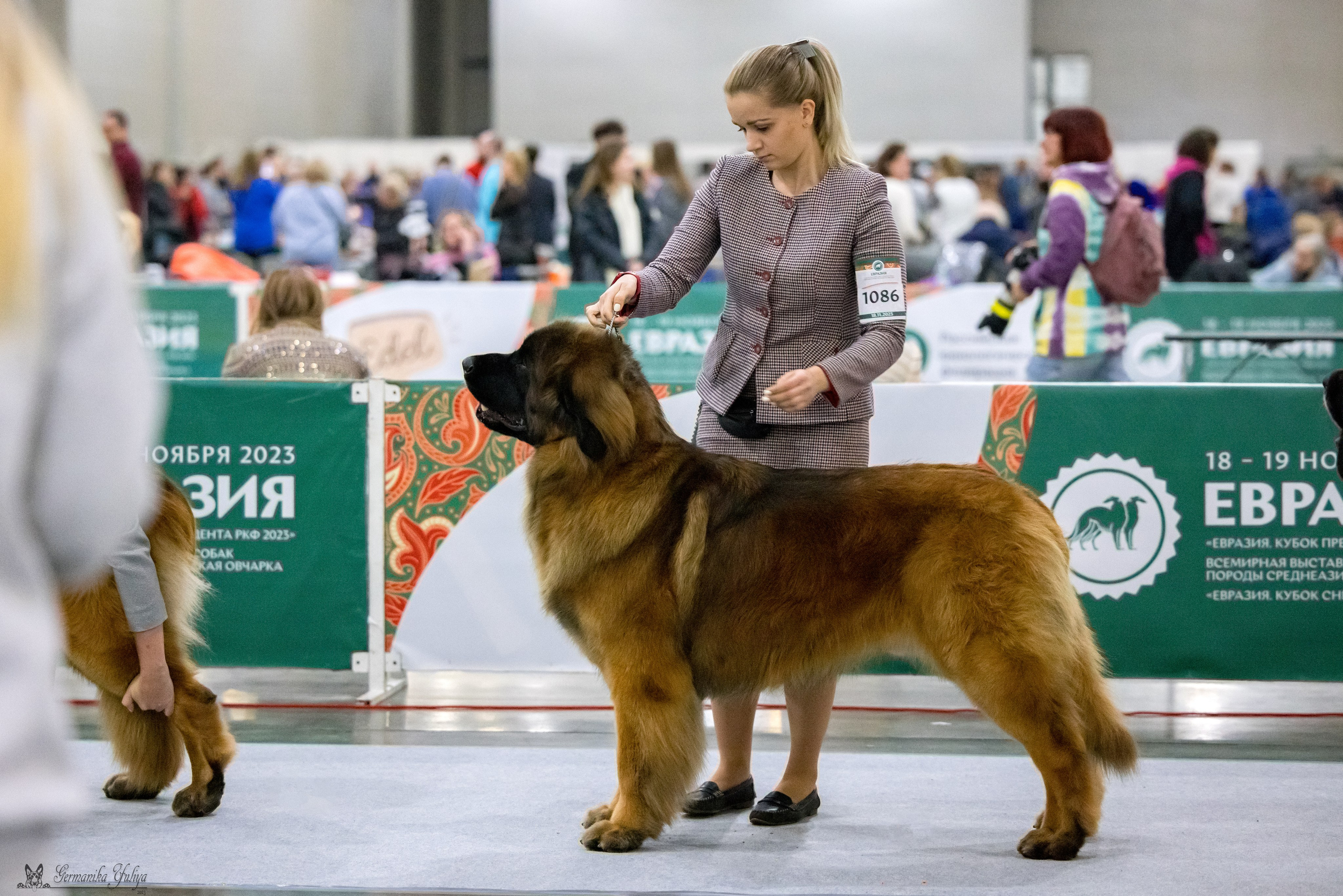 ЕВРАЗИЯ 18-19.11.2023. Фотограф-анималист Юлия Германика