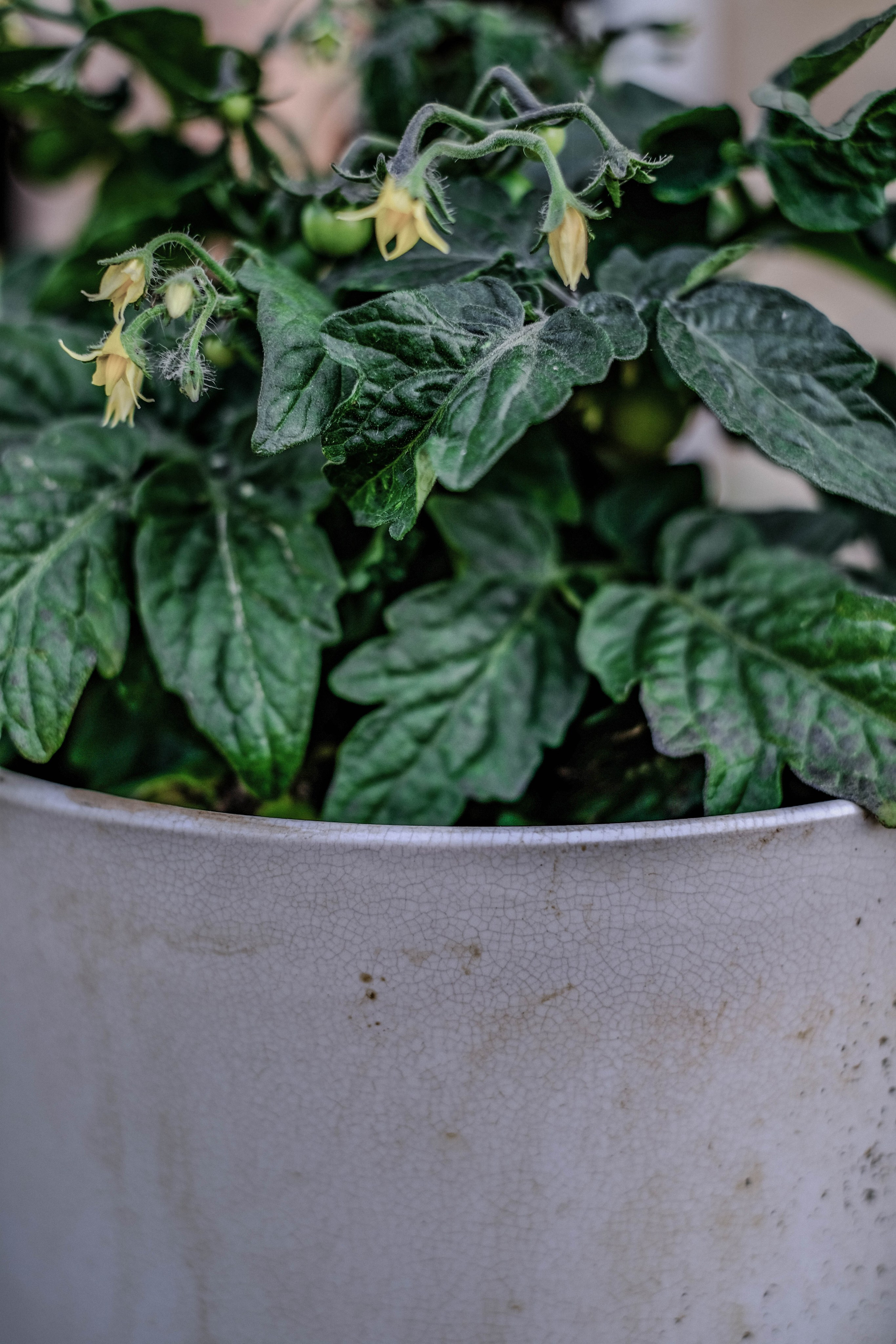 Курс «Психология на грядке». АRТ&PSY | Искусство психологии