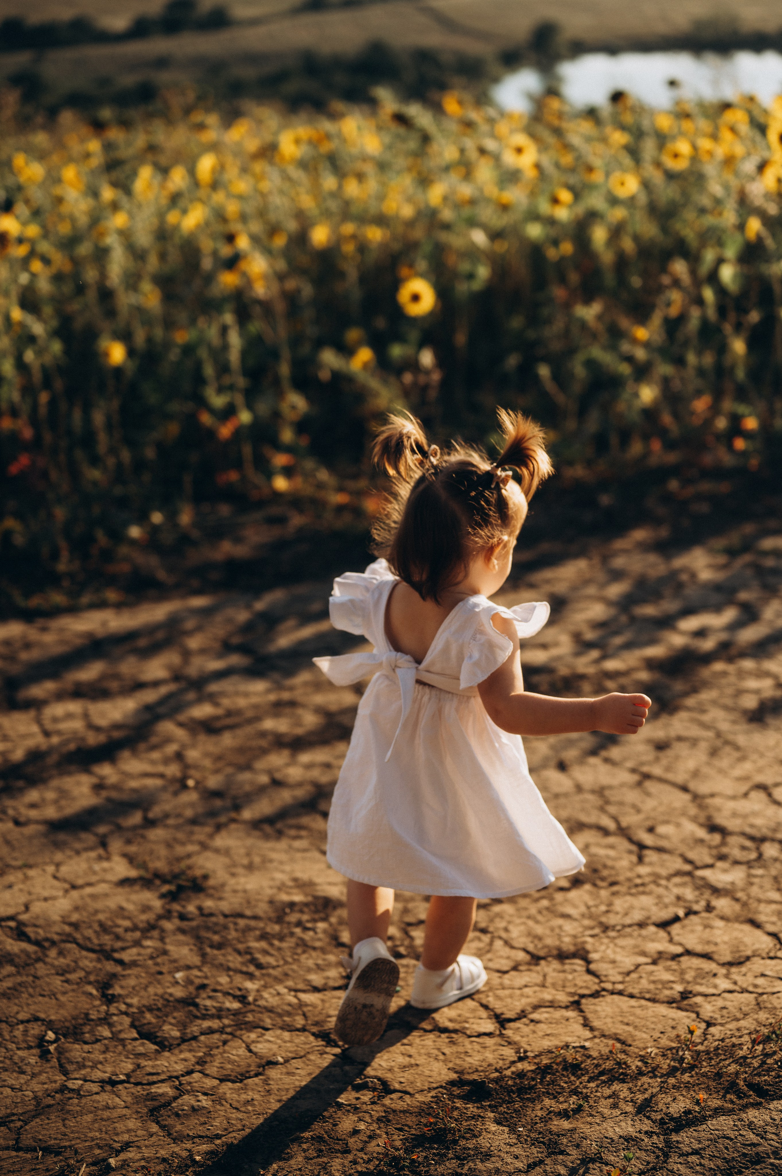 На закате. Свадебный и семейный фотограф в Пензе