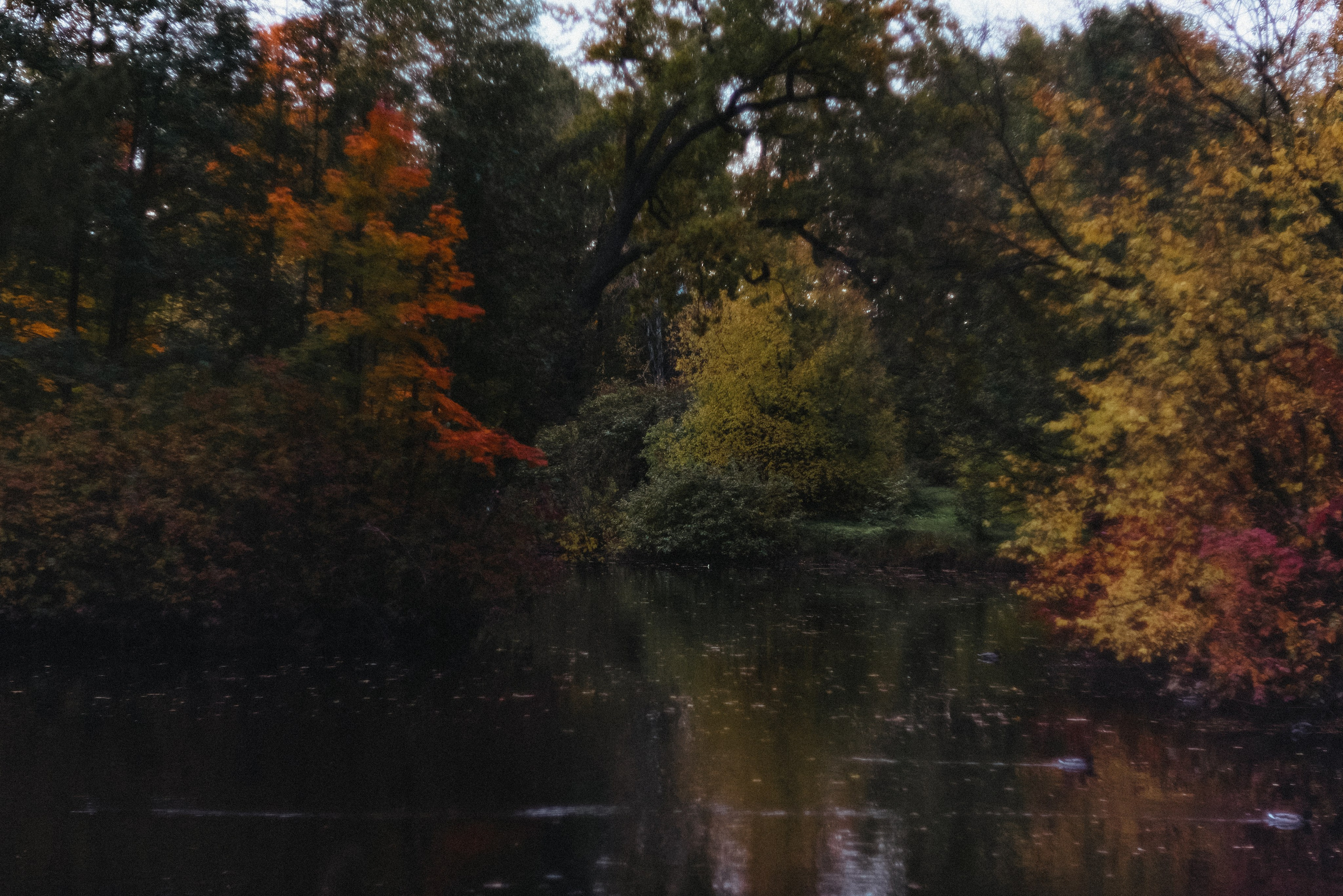 Autumn. Свадебный фотограф Санкт-Петербург DanyaPhotoart