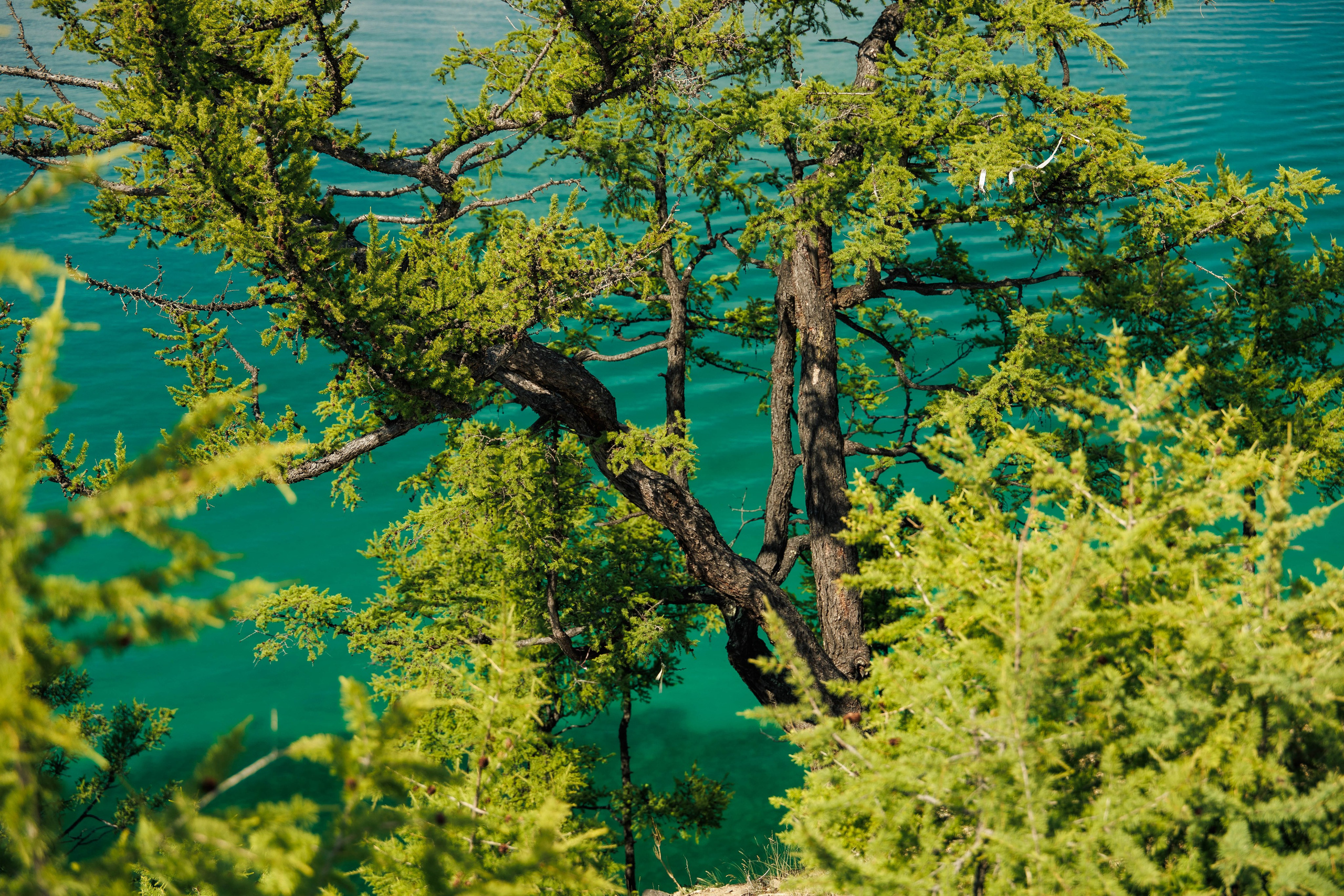 Летний Байкал