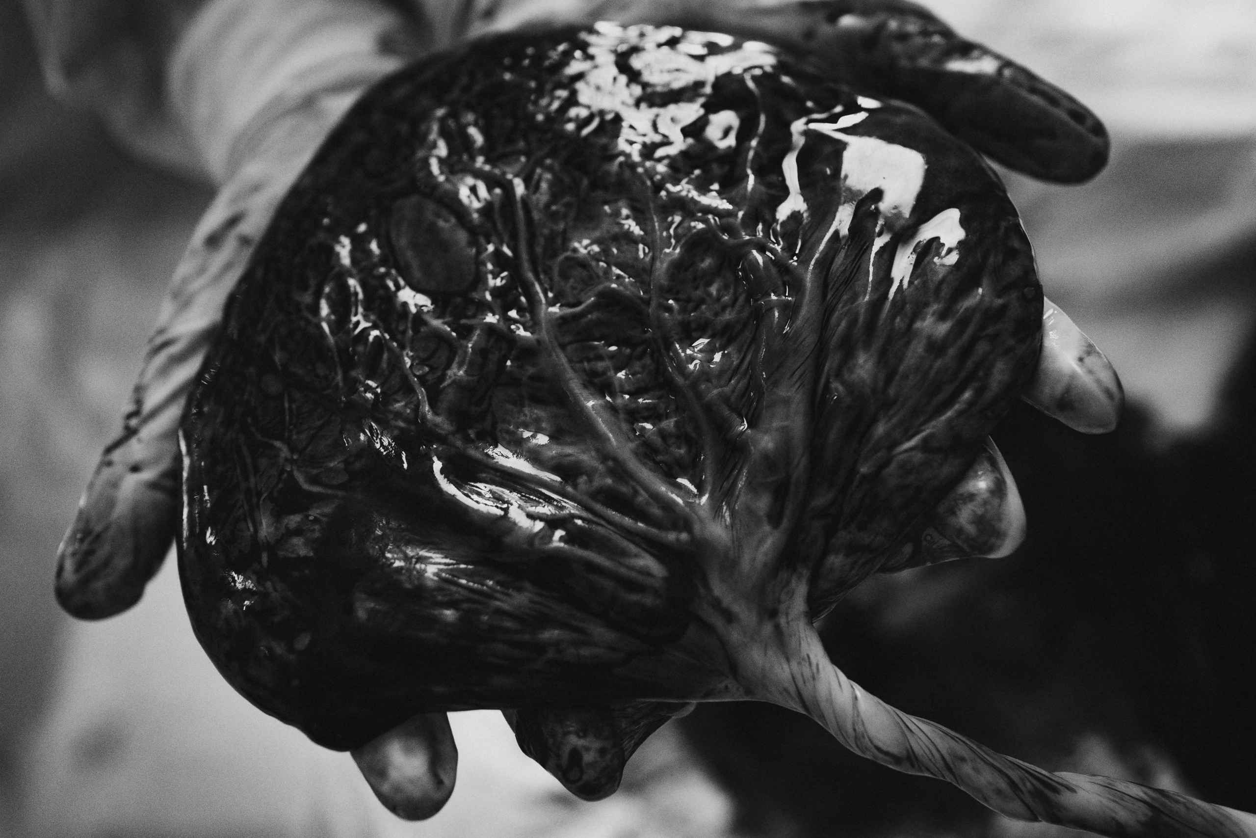 Рождение Марка. Фотограф на роды в Санкт-Петербурге Екатерина Сысоева