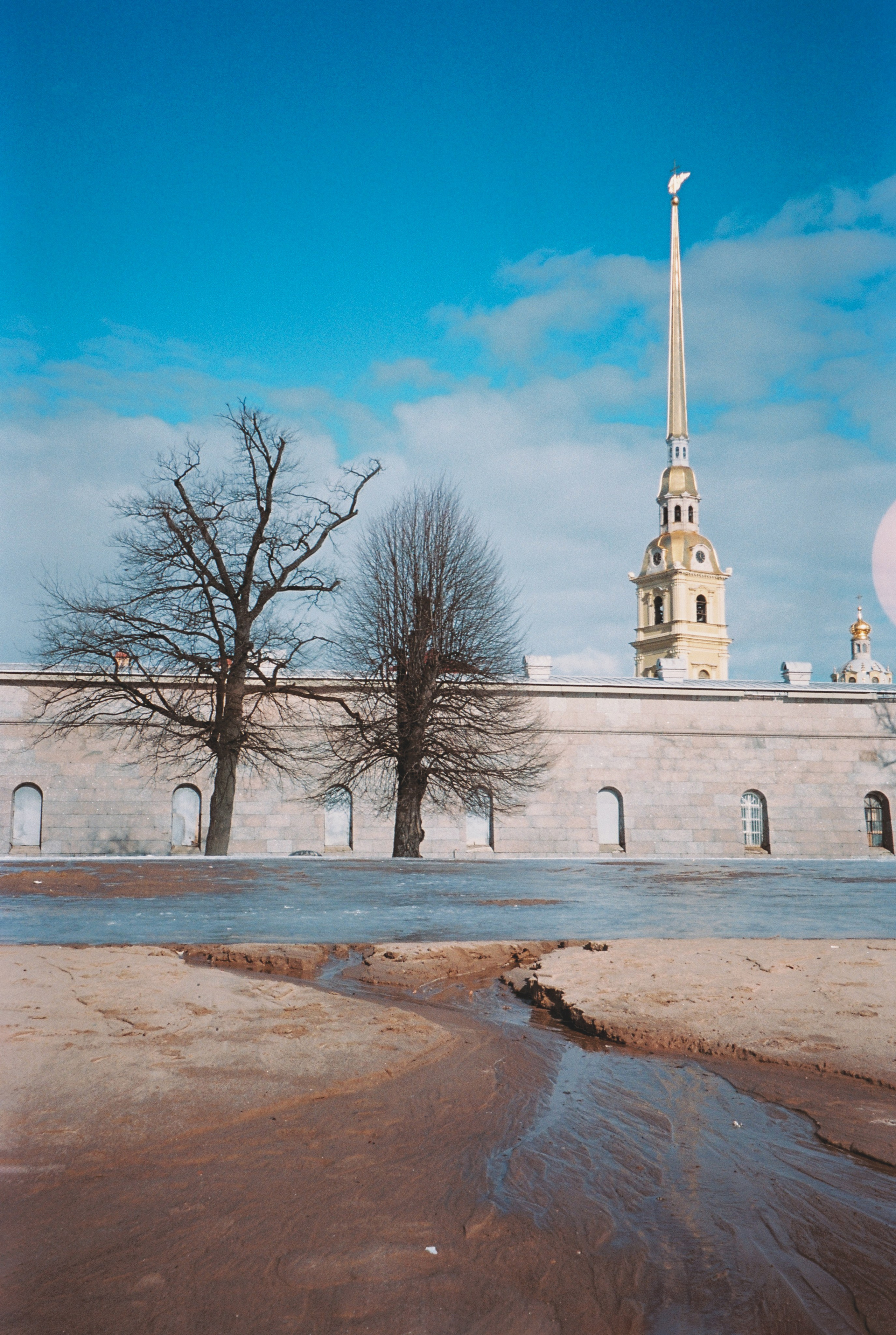 Фотографии цветные. Свадебный и семейный пленочный фотограф в Петербурге Истомина Ирина