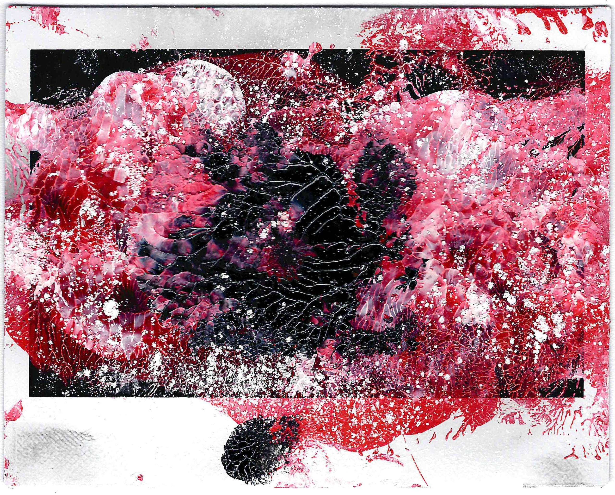 Полароиды. Катерина Эделева