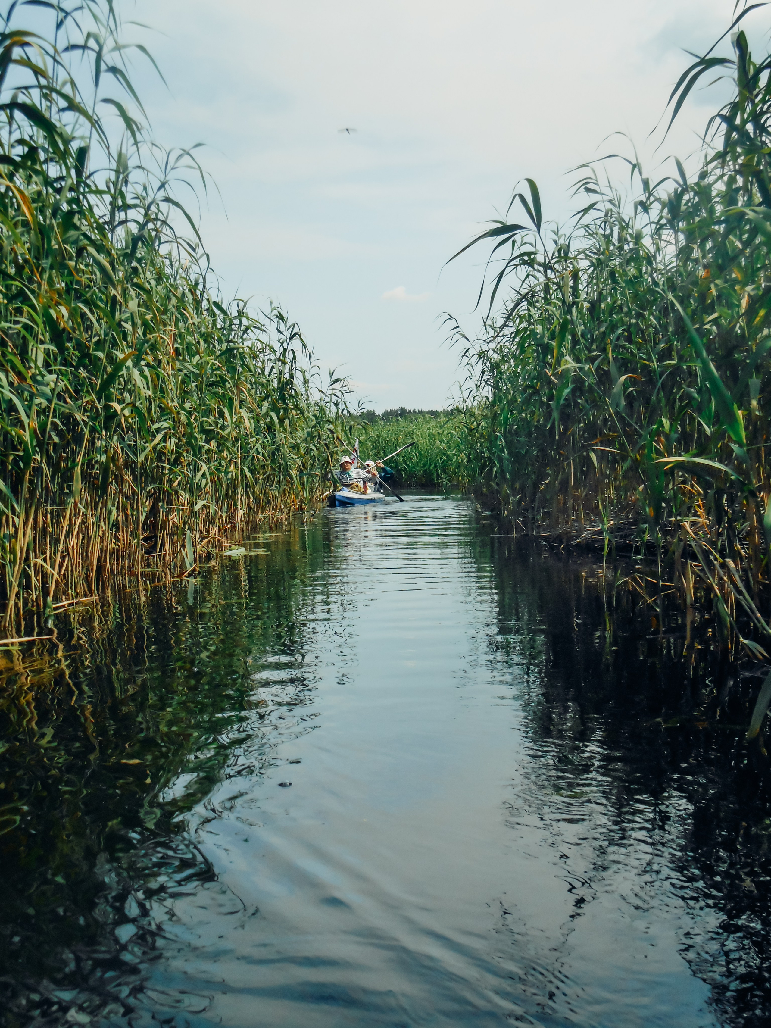 Воронеж. Репортажный и портретный фотограф в Липецкой, Воронежской, Московской области Тёма Белоусов
