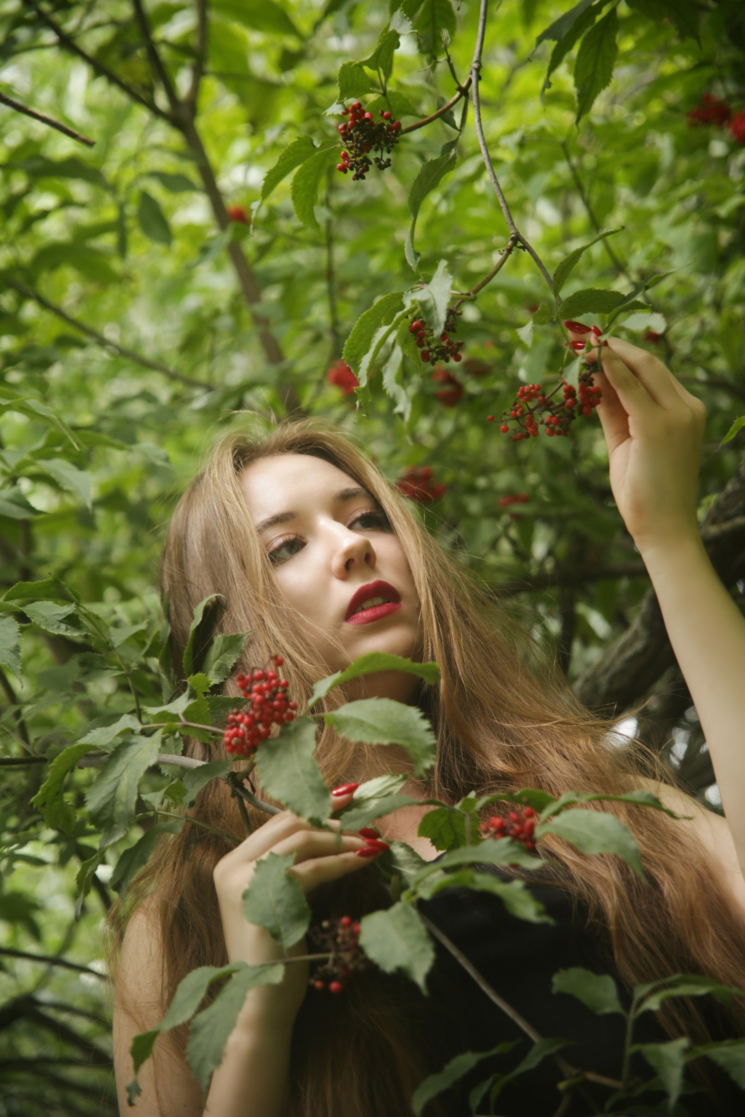 Красота и цветы