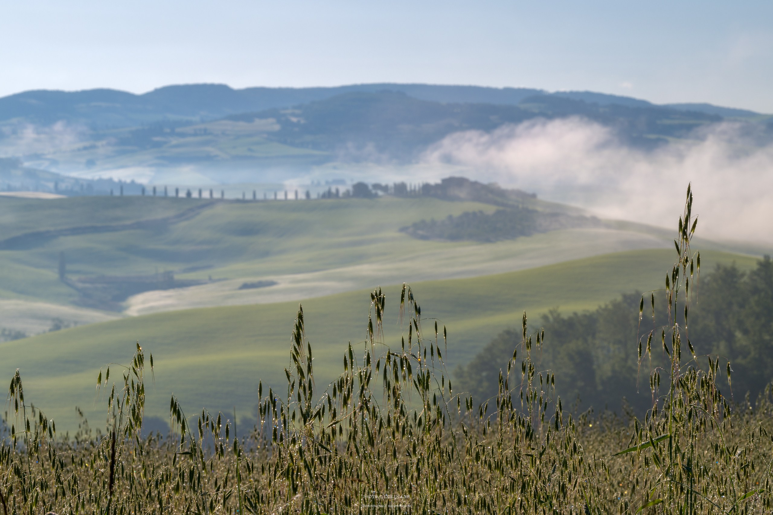 Волшебное утро в Тоскане. Авторские стильные фотокартины