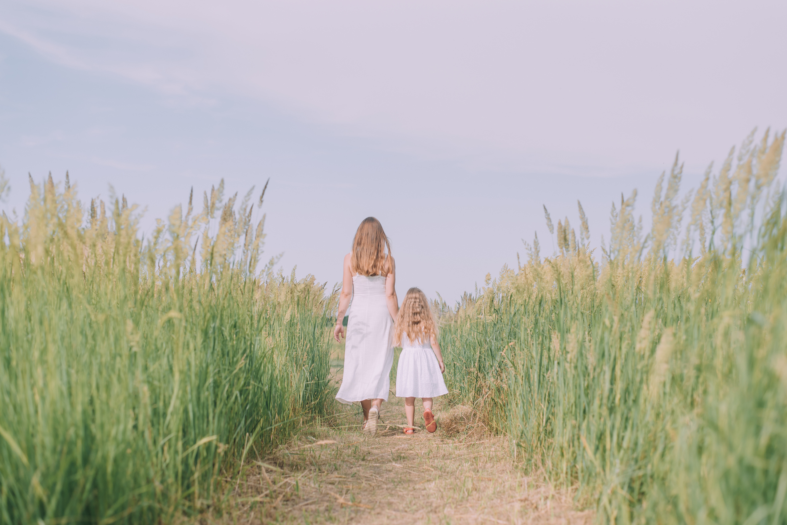 Ромашковая история Марии и Алисы. Фотограф в Краснодаре Зеленкина Дарья