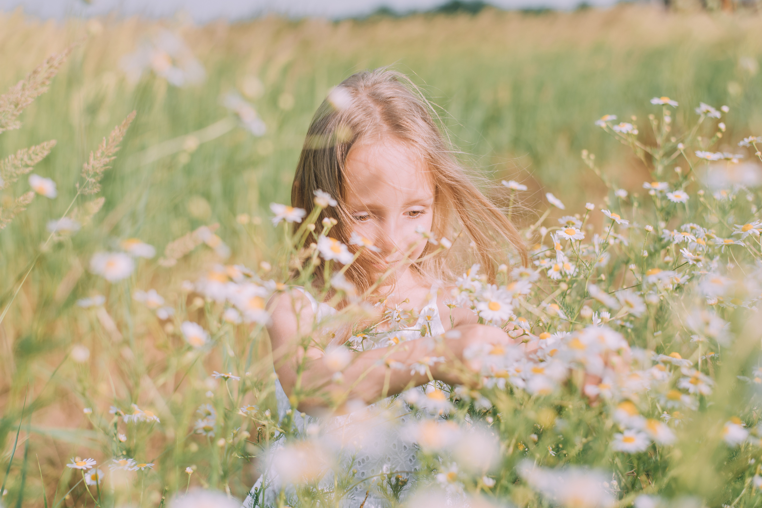 Ромашковая история Марии и Алисы. Фотограф в Краснодаре Зеленкина Дарья