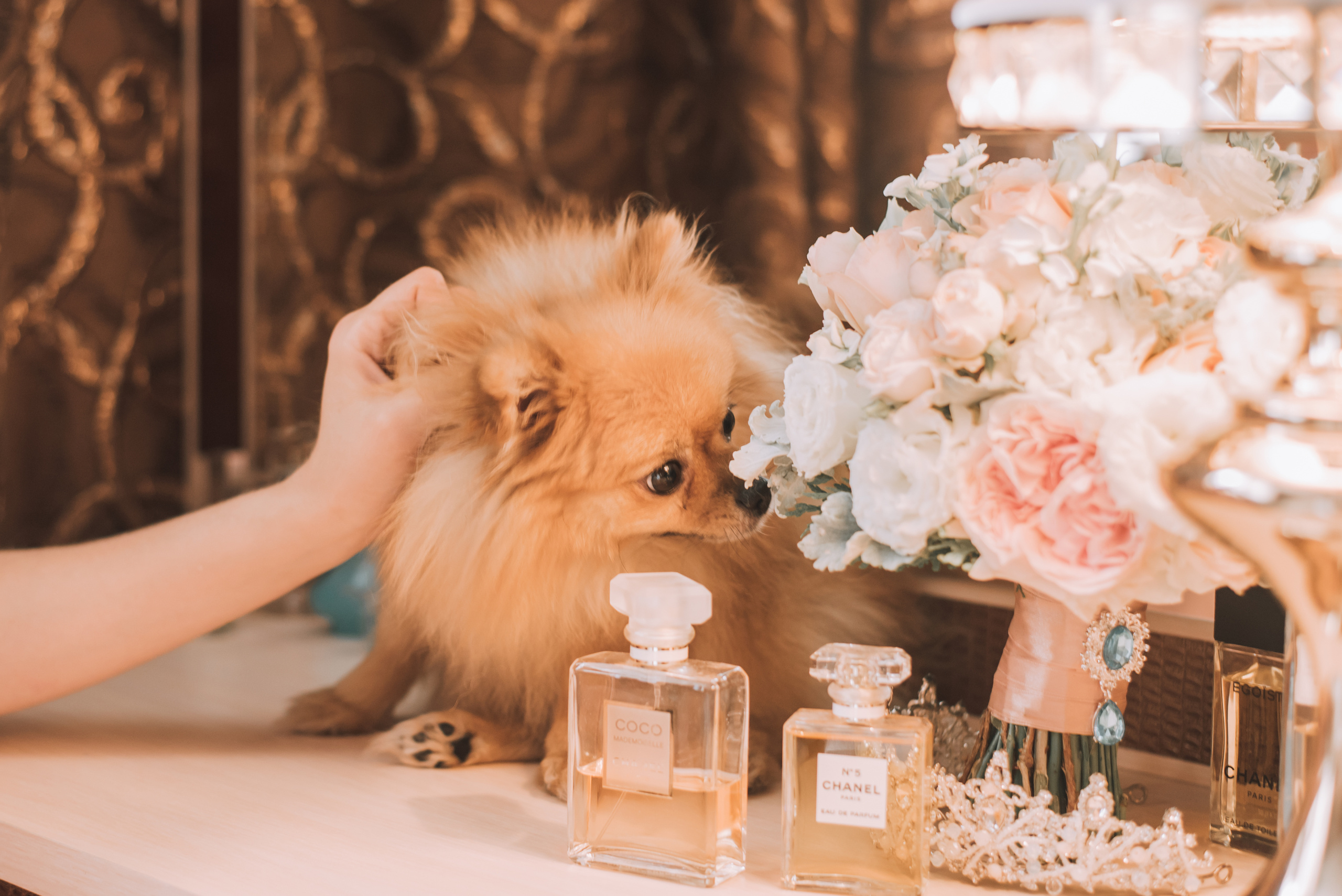 Свадьба Михаила и Александры. Фотограф в Краснодаре Зеленкина Дарья