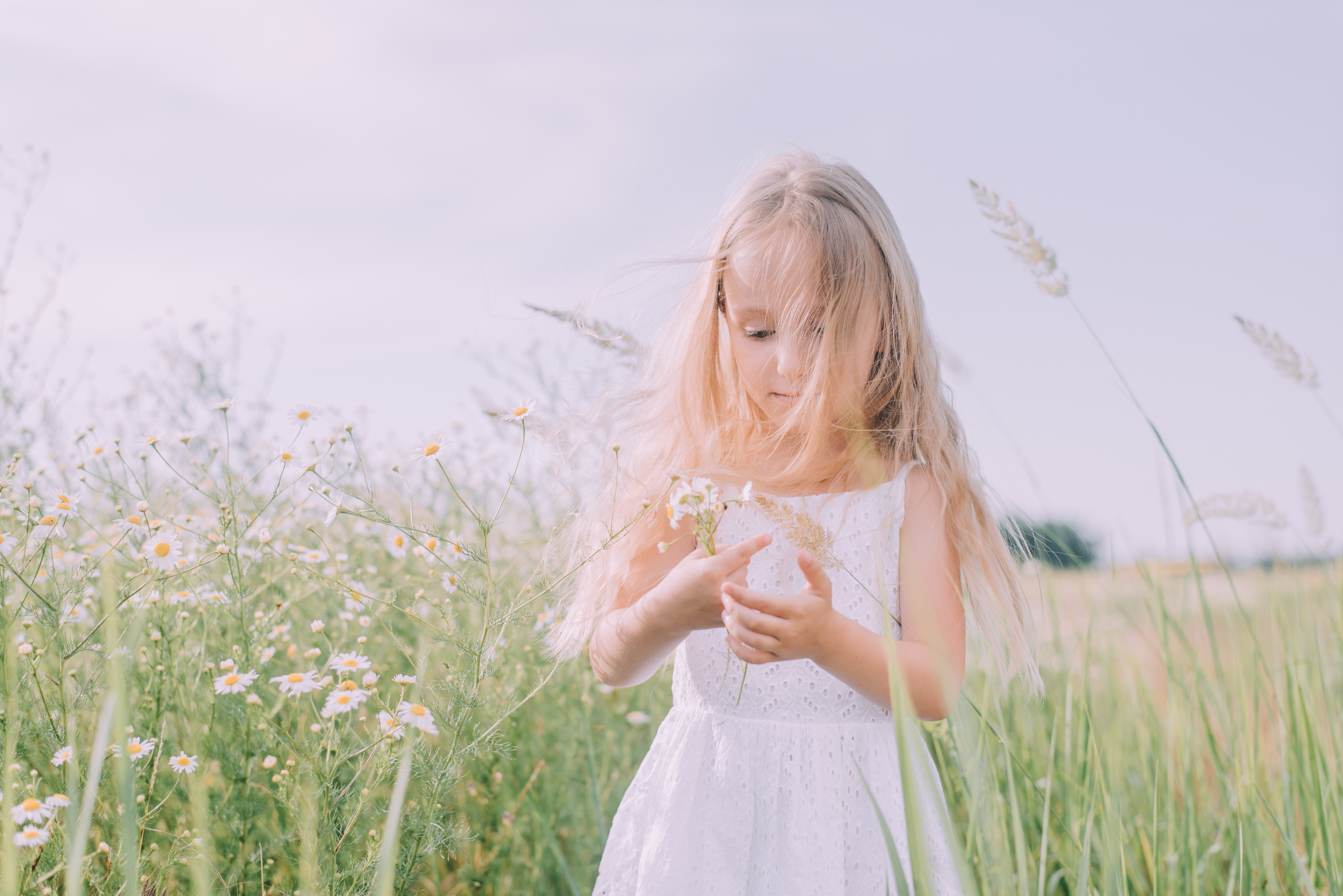 Ромашковая история Марии и Алисы. Фотограф в Краснодаре Зеленкина Дарья