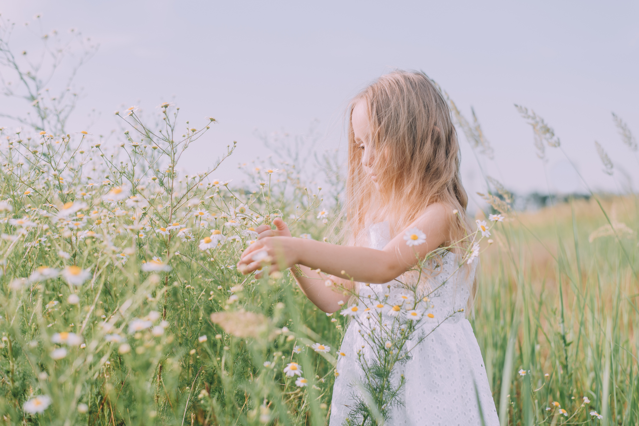 Ромашковая история Марии и Алисы. Фотограф в Краснодаре Зеленкина Дарья