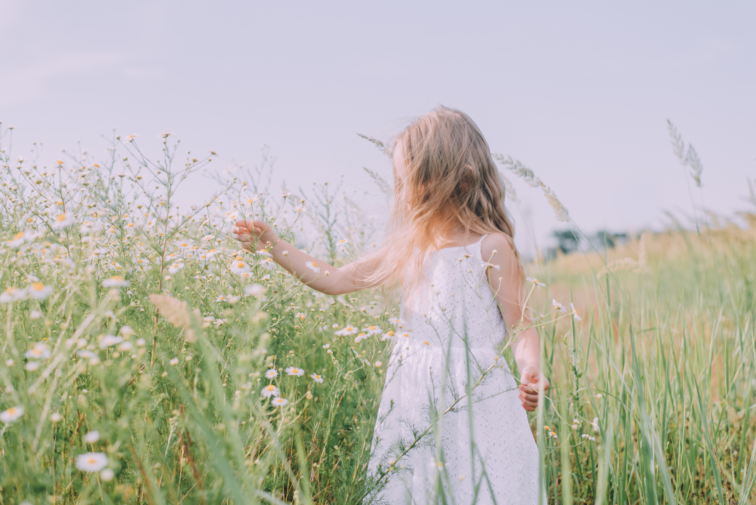 Ромашковая история Марии и Алисы. Фотограф в Краснодаре Зеленкина Дарья