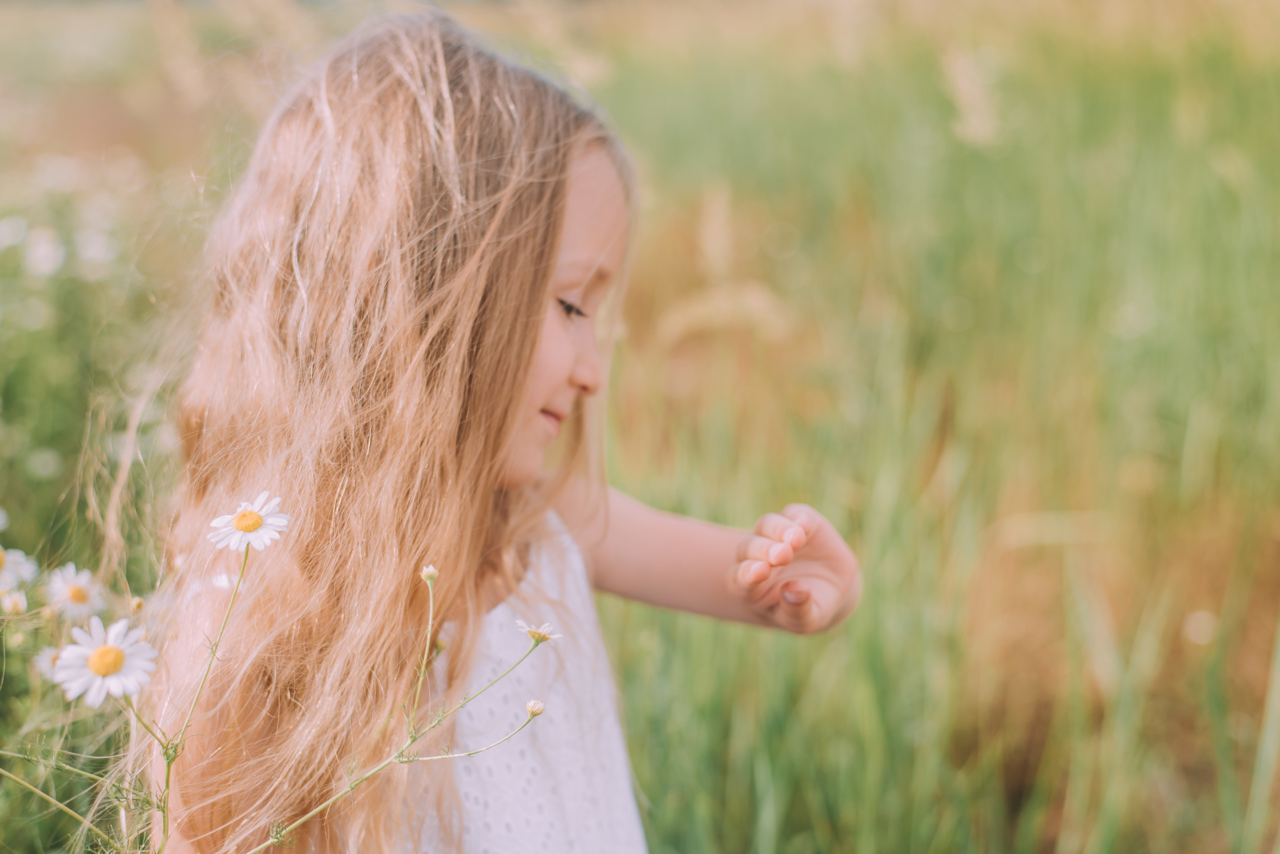 Ромашковая история Марии и Алисы. Фотограф в Краснодаре Зеленкина Дарья
