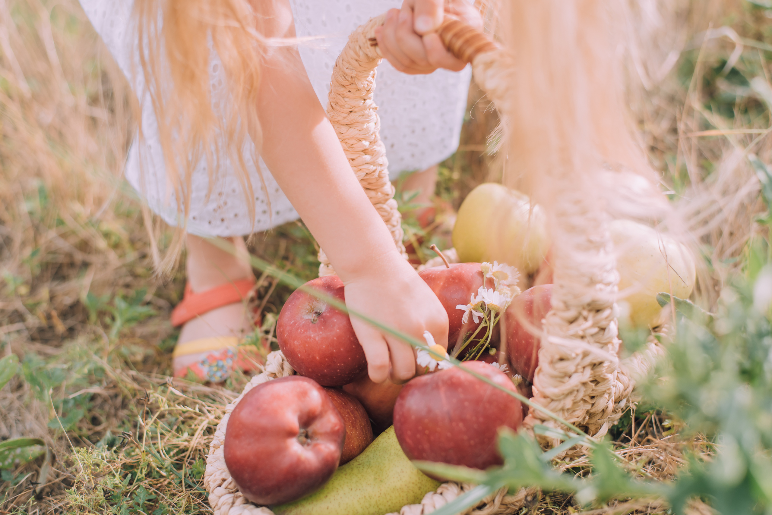 Ромашковая история Марии и Алисы. Фотограф в Краснодаре Зеленкина Дарья