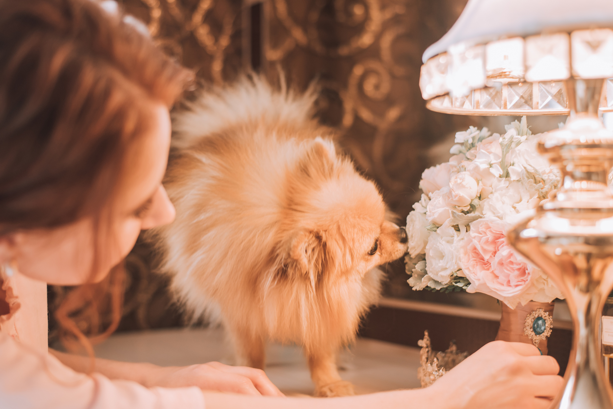 Свадьба Михаила и Александры. Фотограф в Краснодаре Зеленкина Дарья