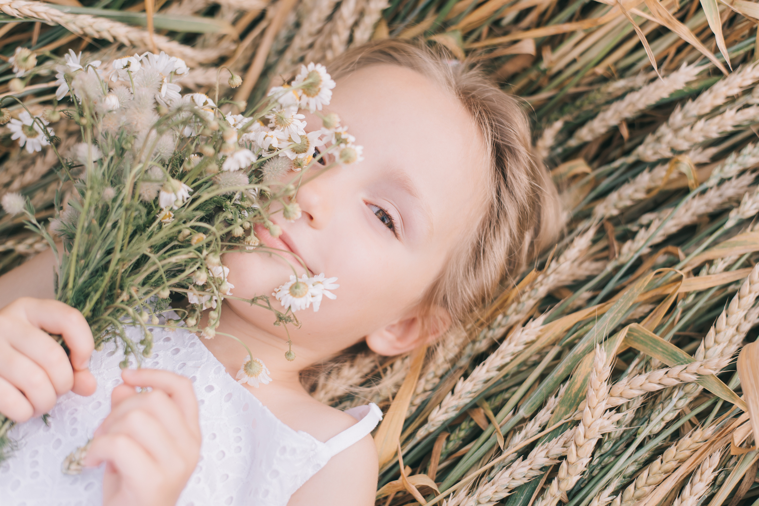 Ромашковая история Марии и Алисы. Фотограф в Краснодаре Зеленкина Дарья