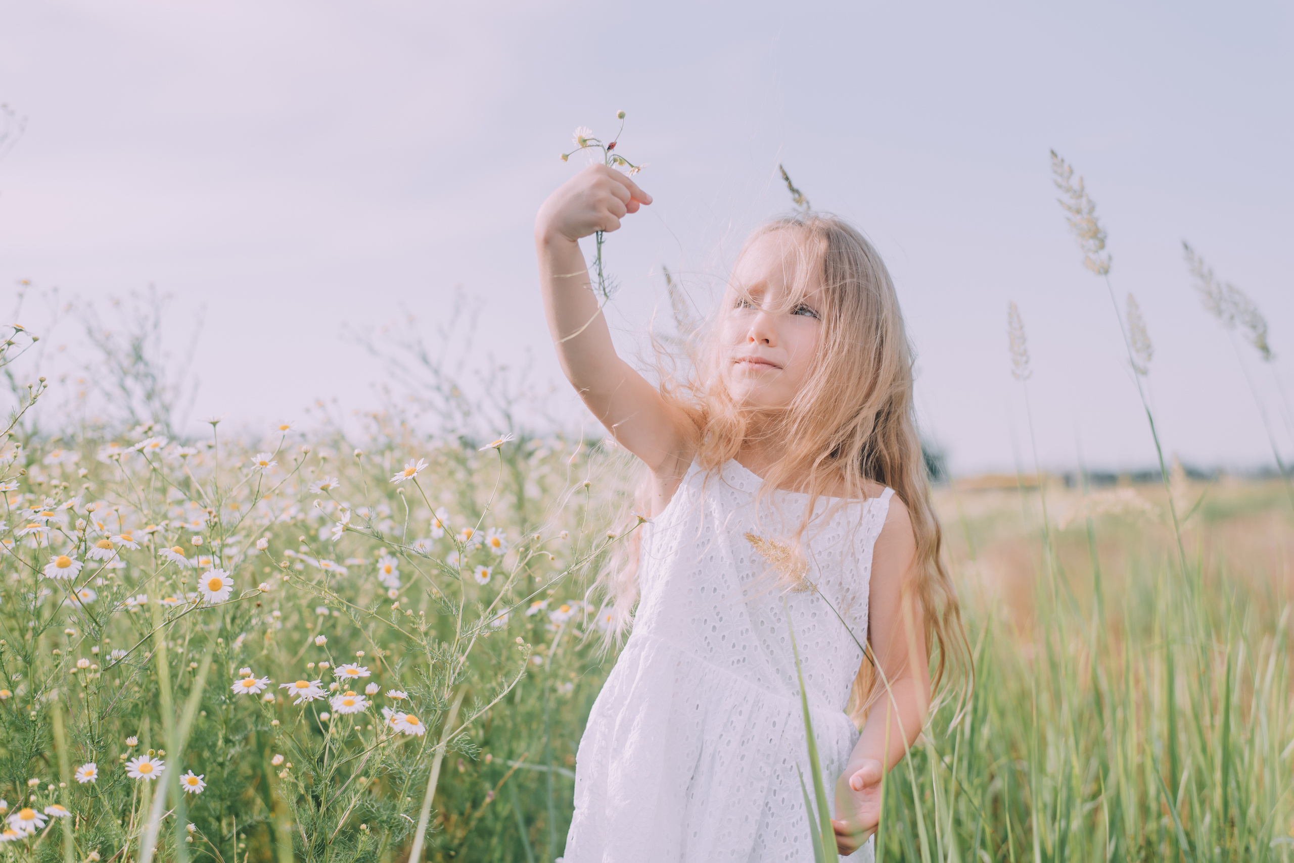 Ромашковая история Марии и Алисы. Фотограф в Краснодаре Зеленкина Дарья