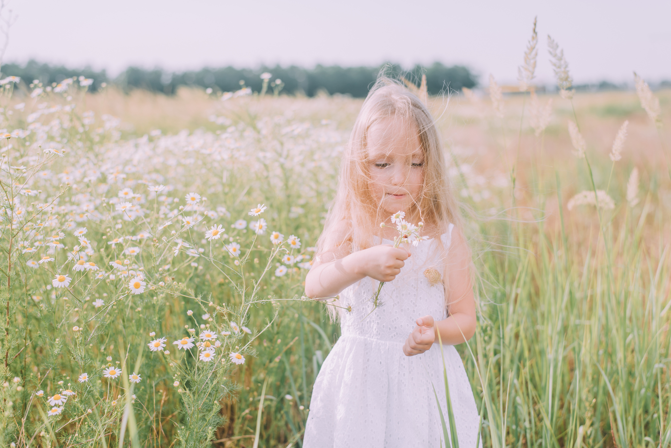 Ромашковая история Марии и Алисы. Фотограф в Краснодаре Зеленкина Дарья