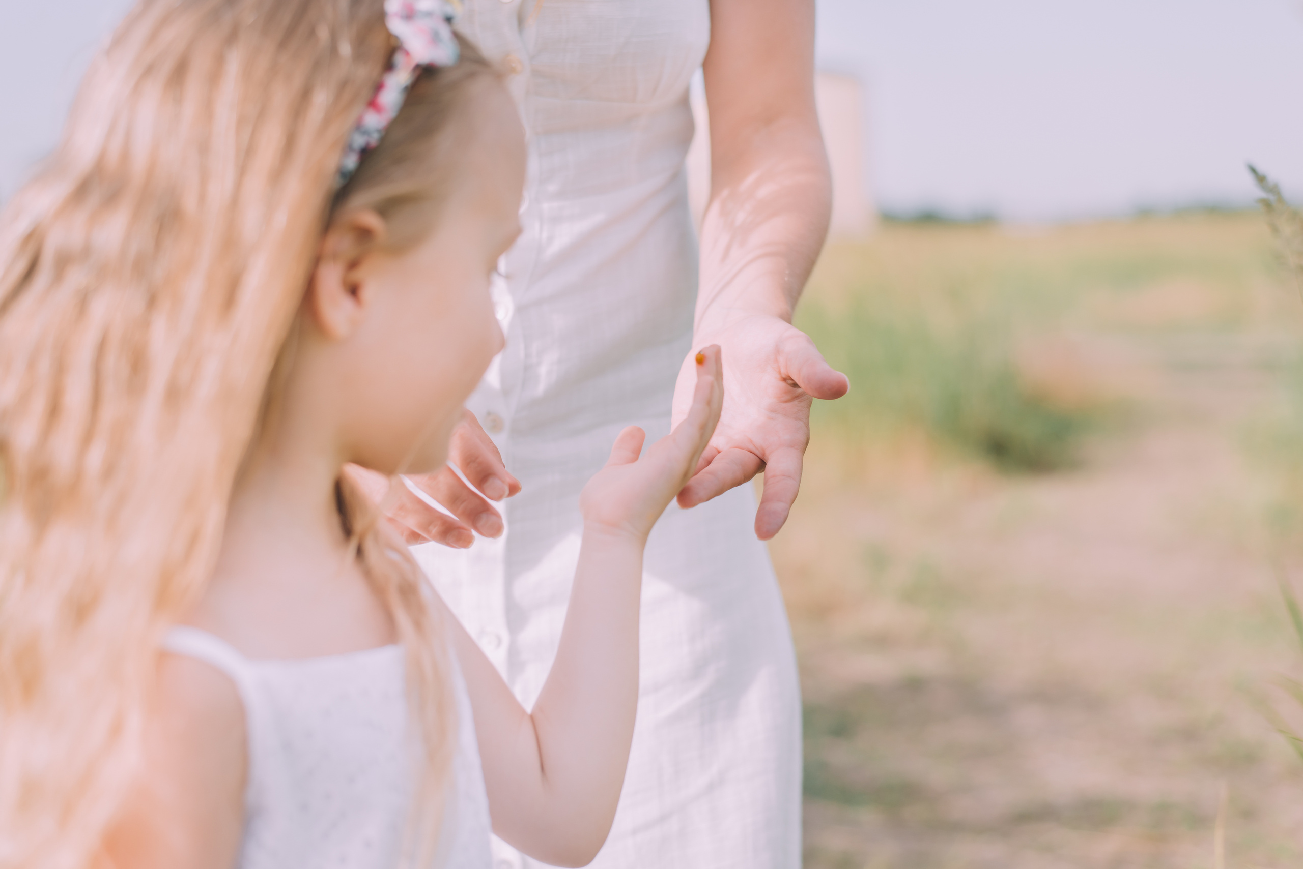 Ромашковая история Марии и Алисы. Фотограф в Краснодаре Зеленкина Дарья